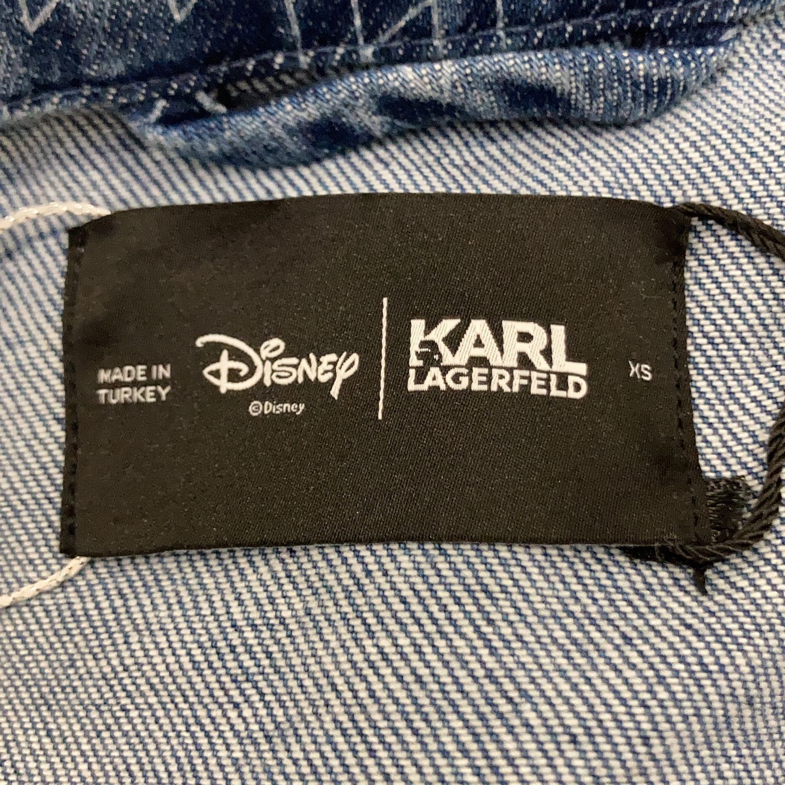 Disney x Karl Lagerfeld