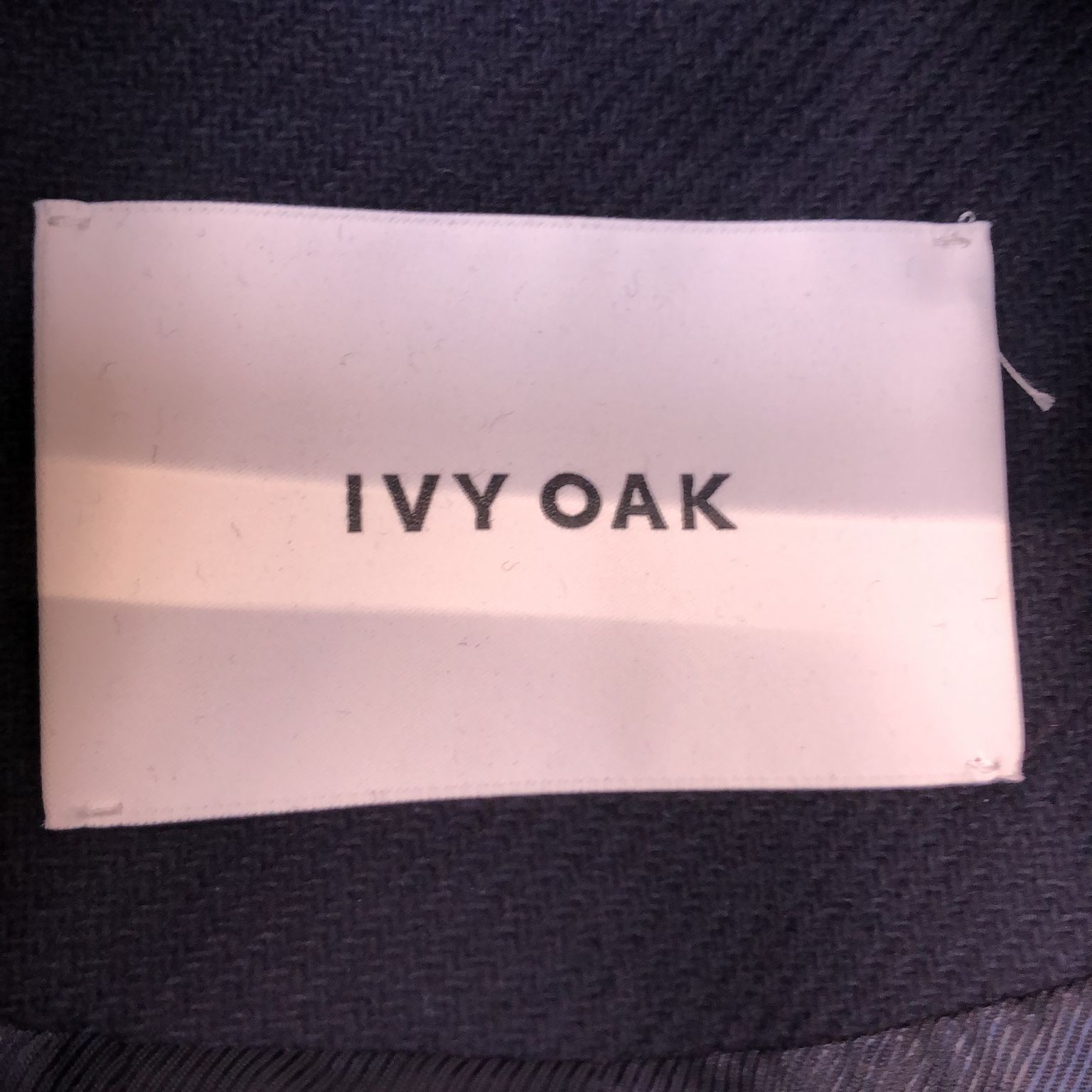 Ivy  Oak