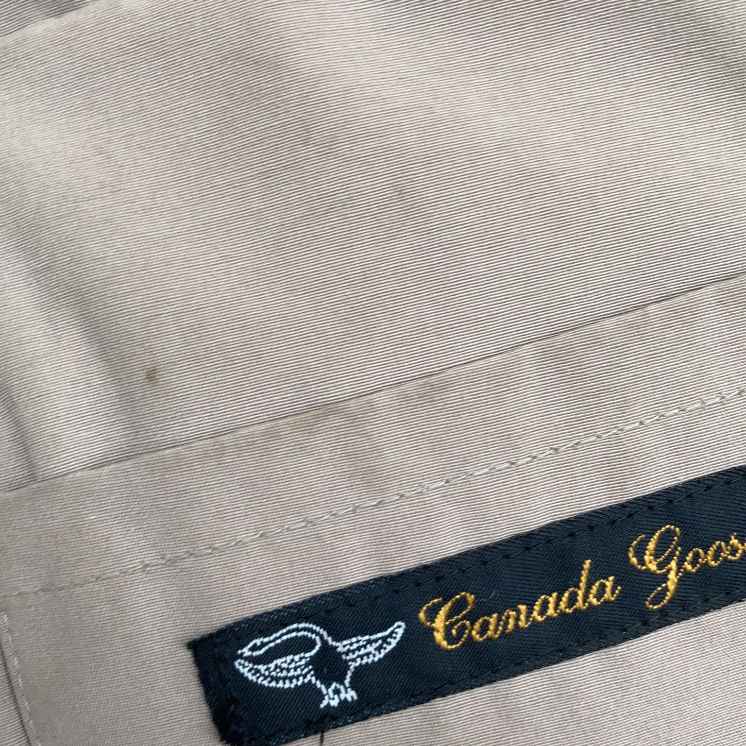 Canada Goose