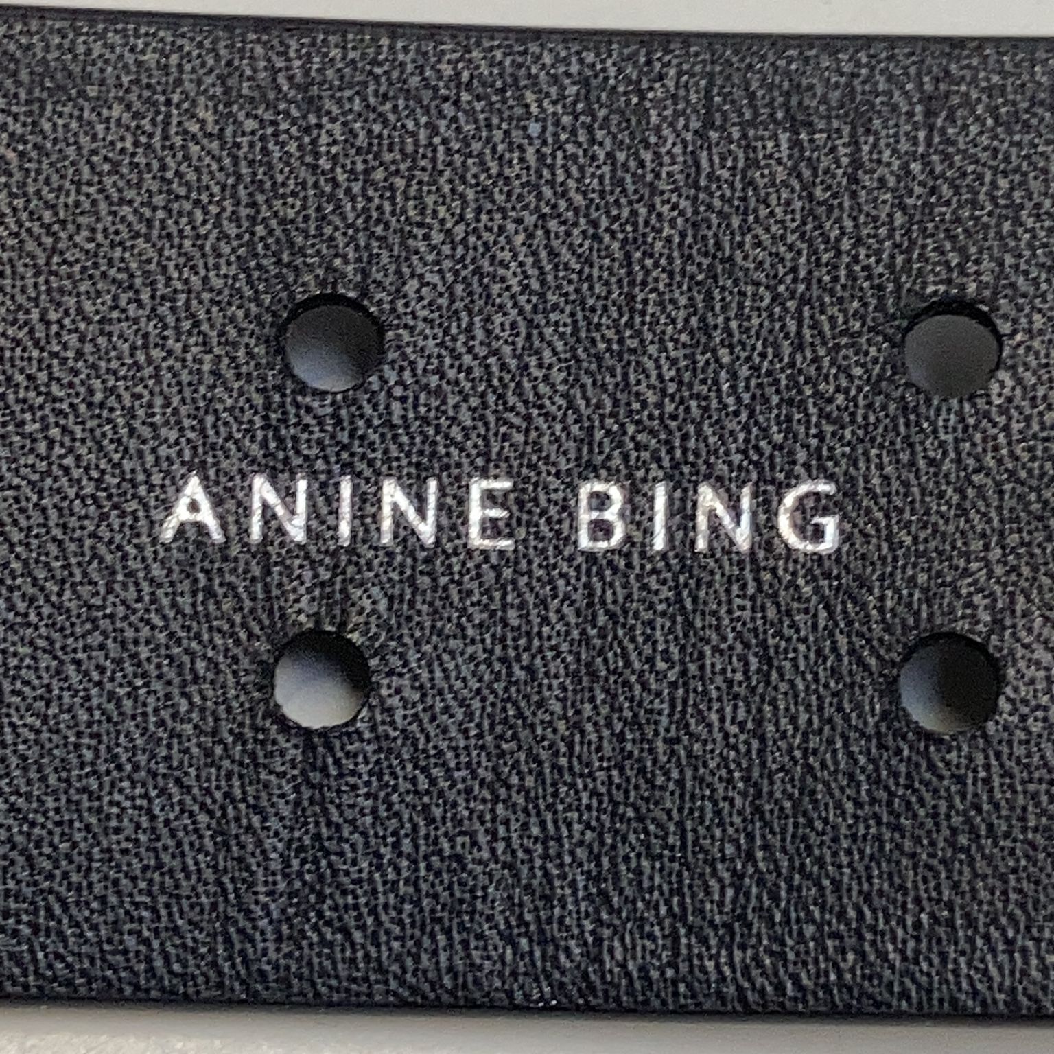 Anine Bing