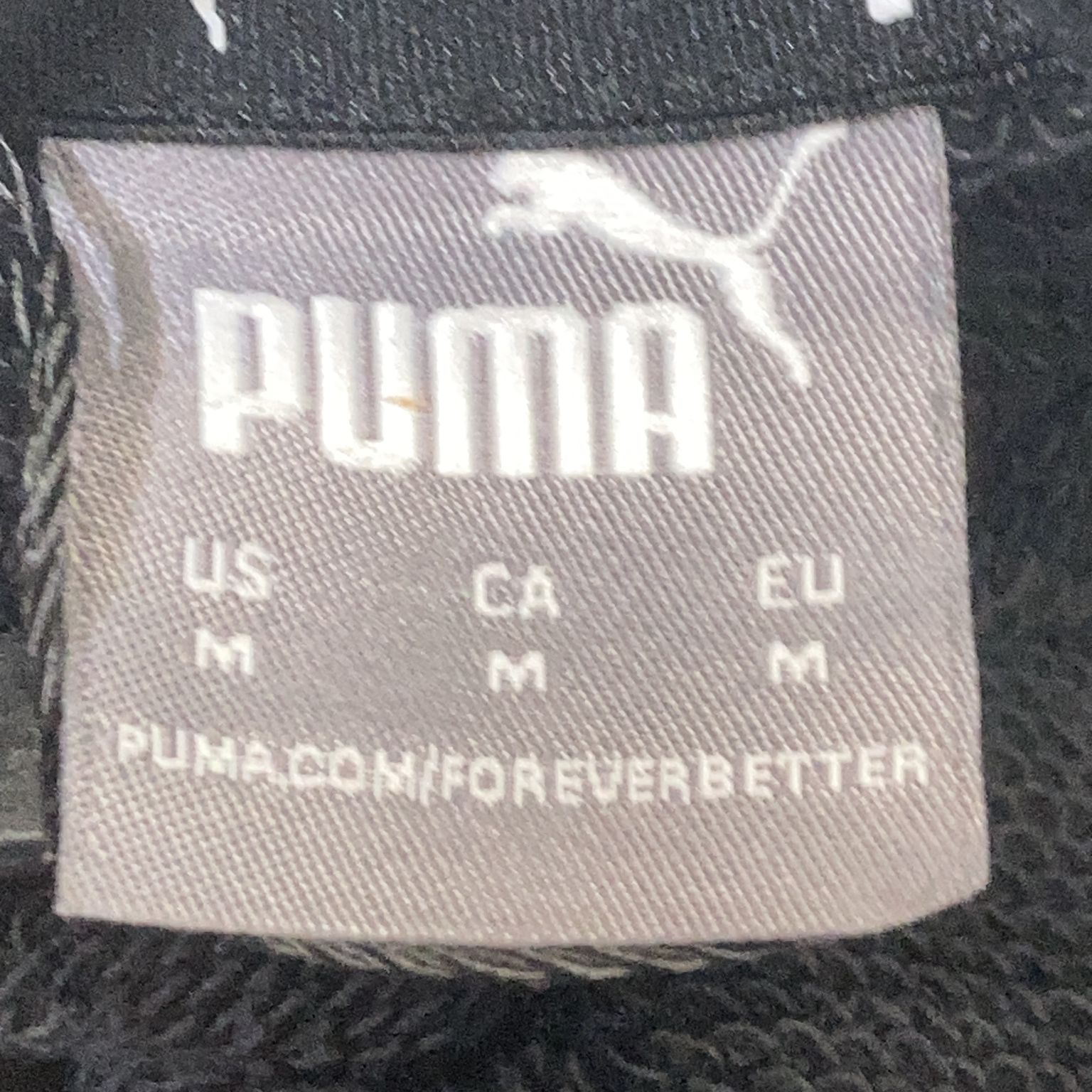 Puma