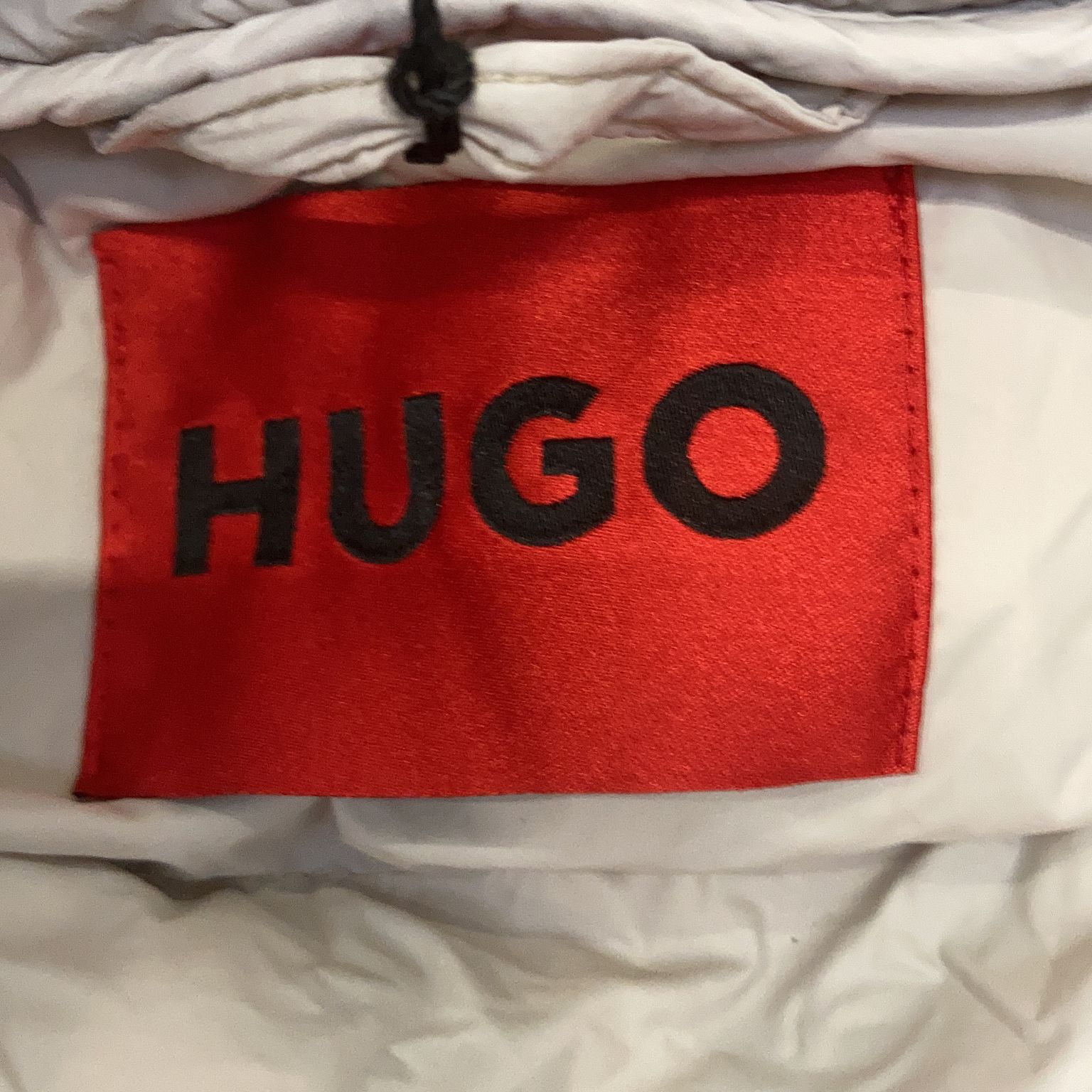 Hugo