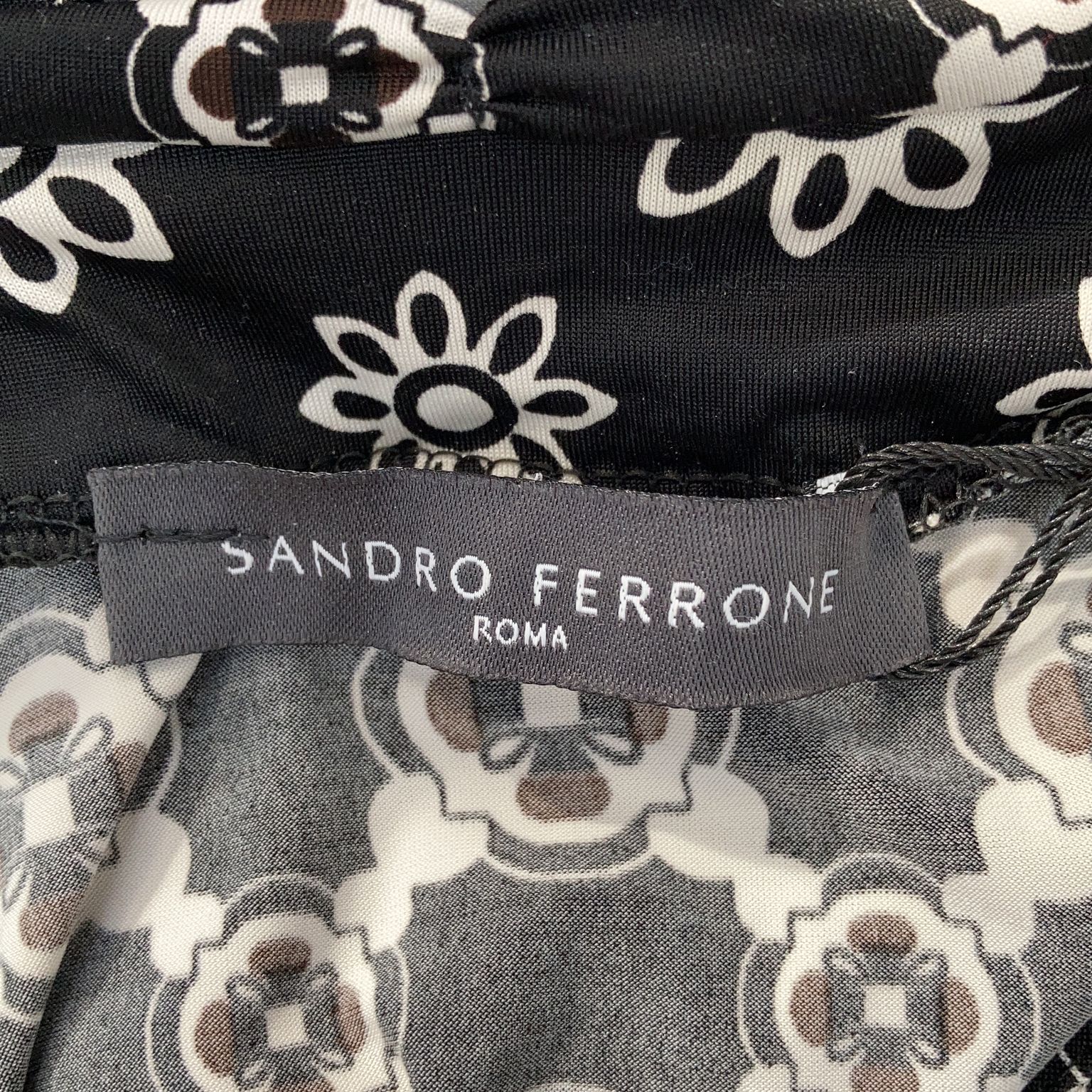 Sandro Ferrone