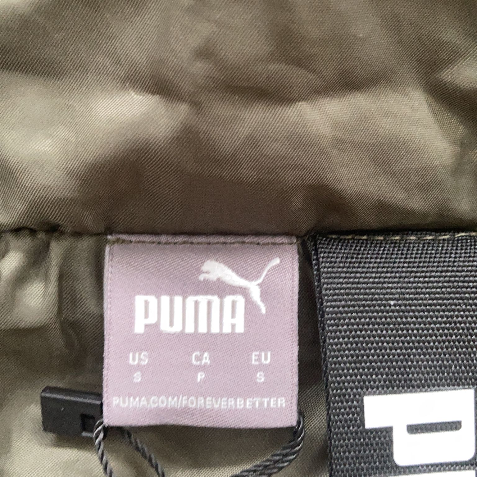 Puma