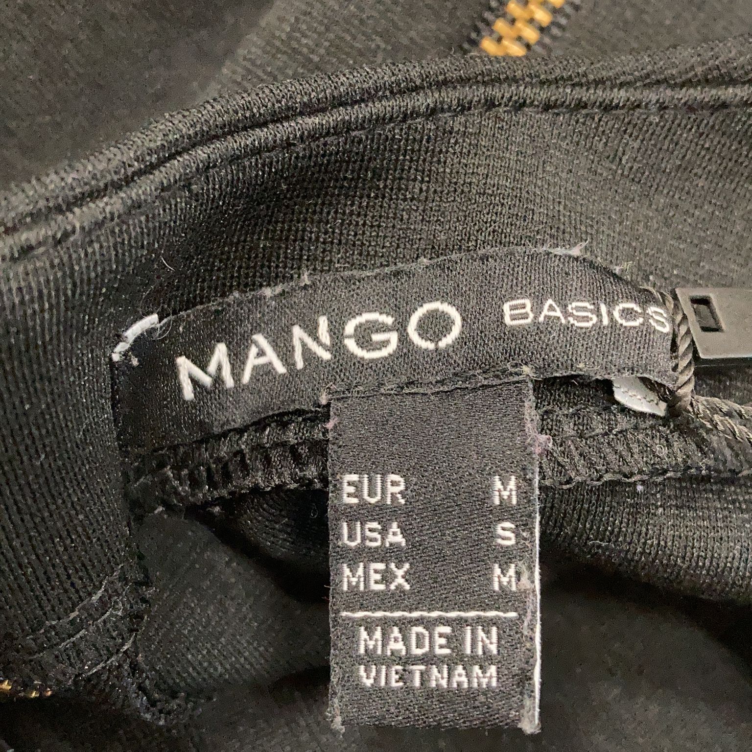 Mango Basics