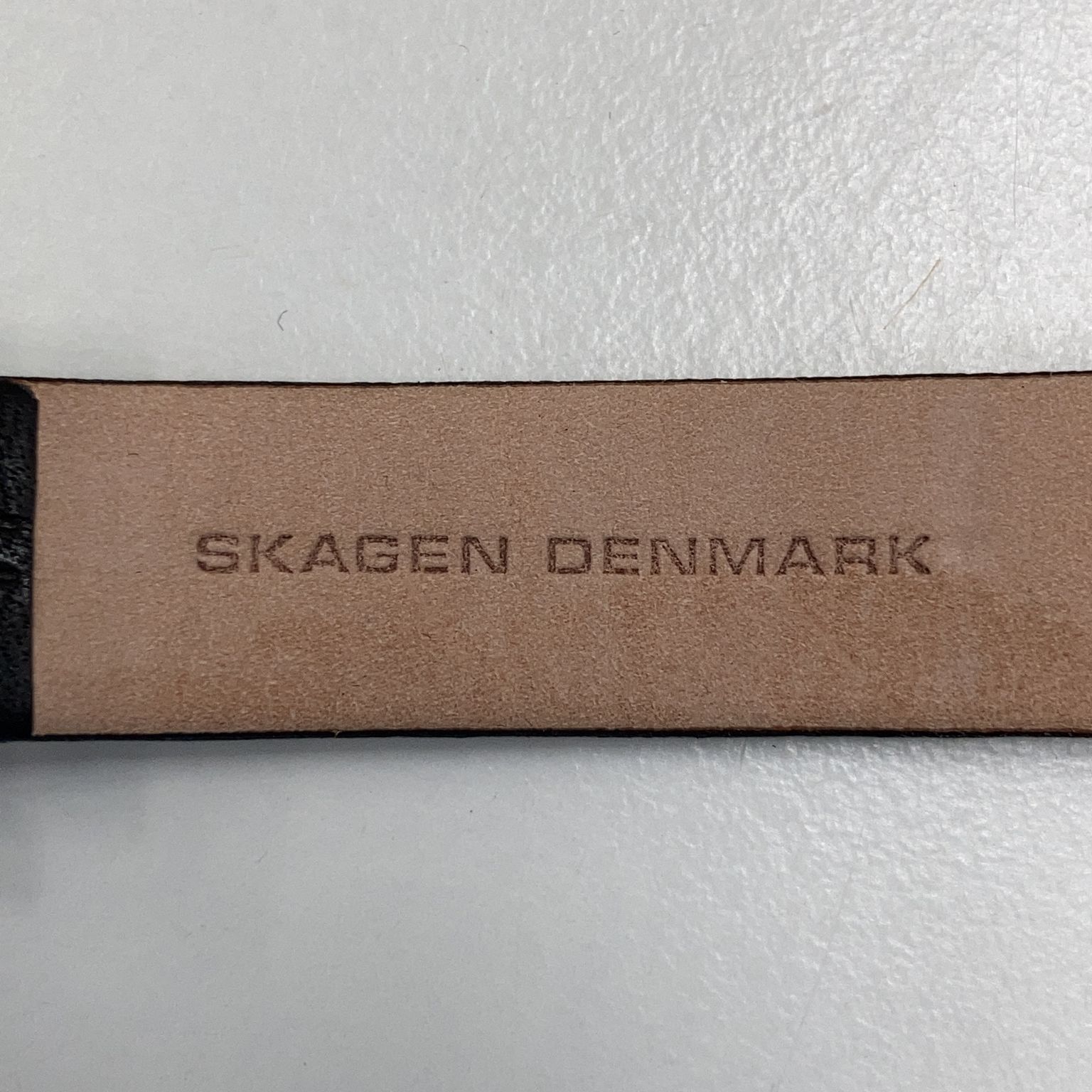 Skagen