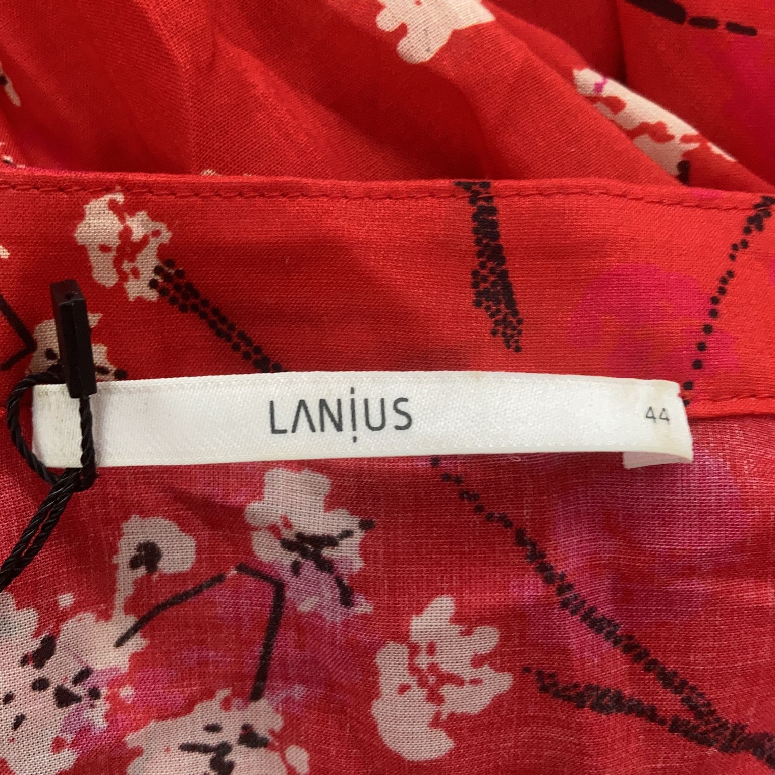 Lanius