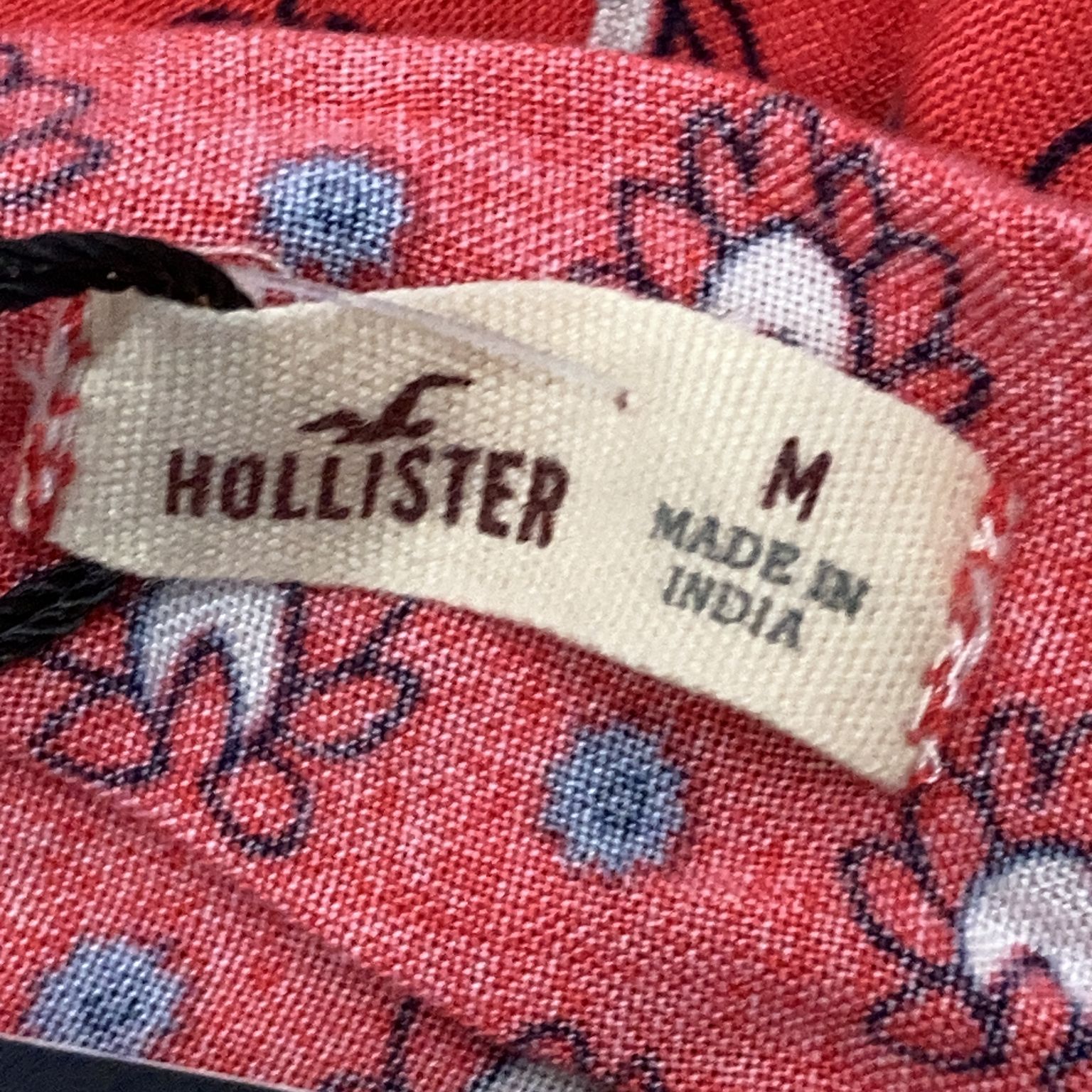 Hollister