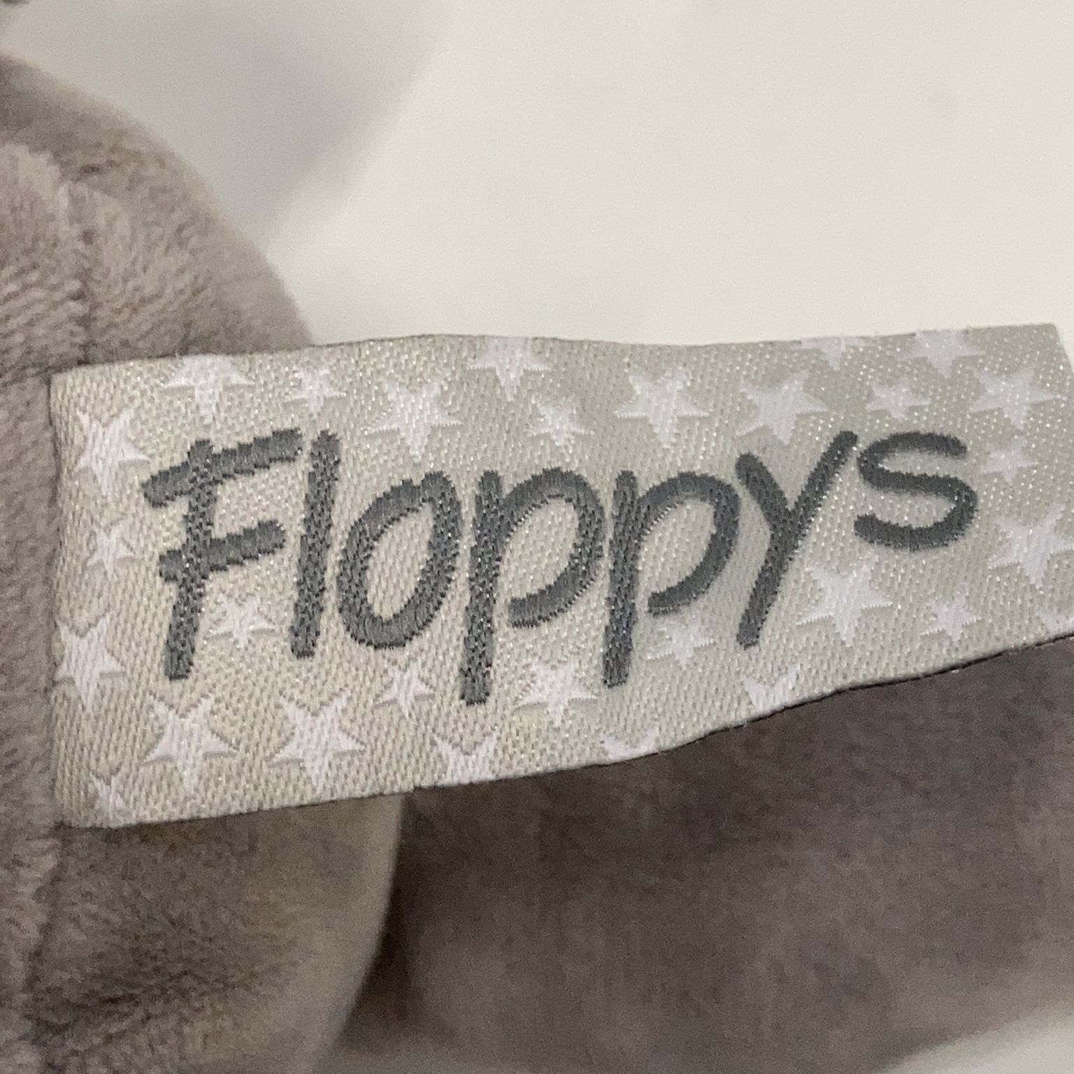 Floppys