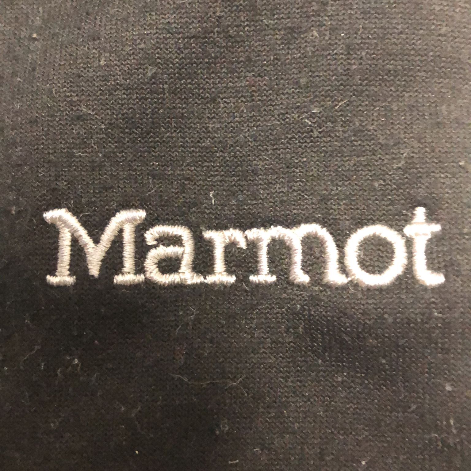 Marmot