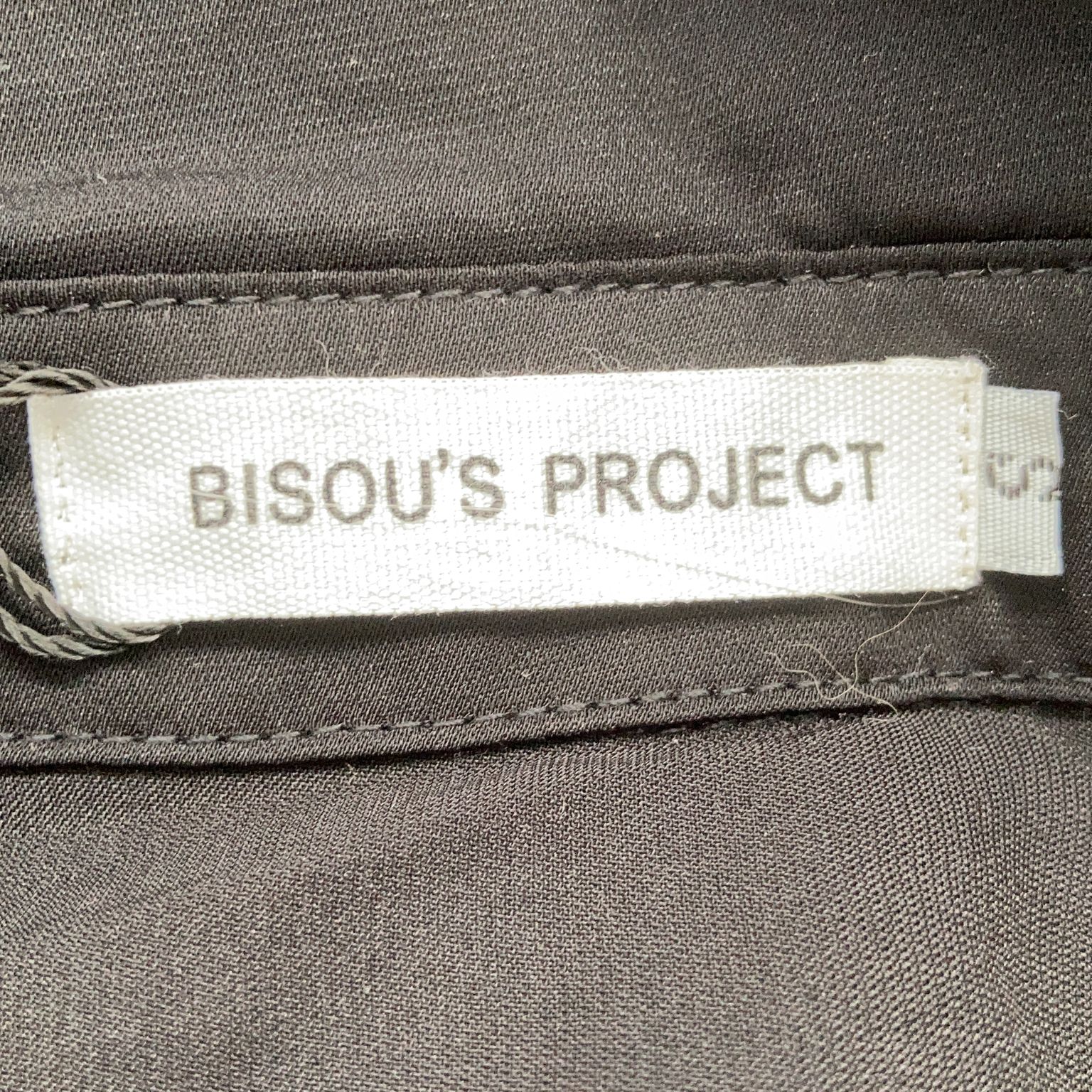 Bisou's Project