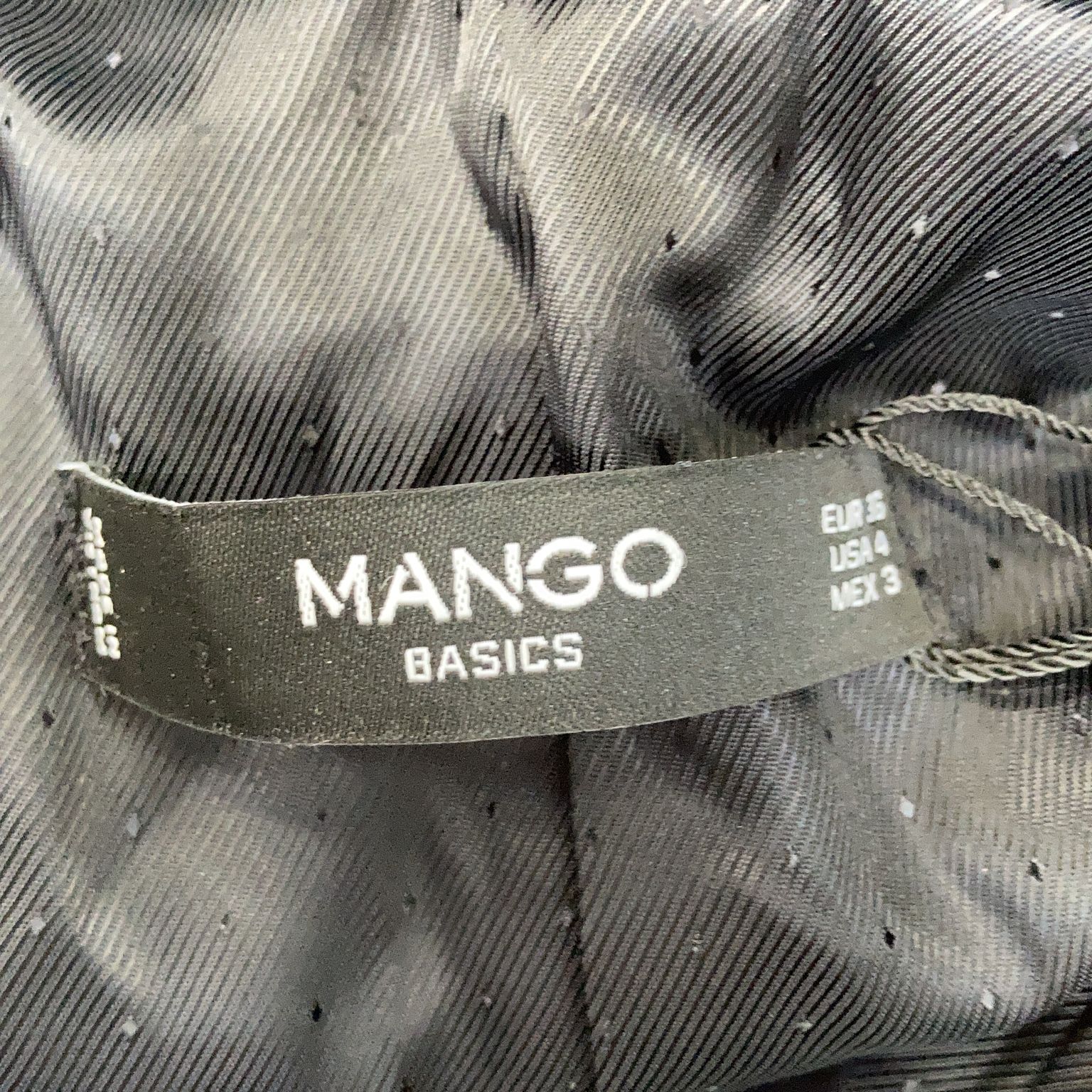 Mango Basics