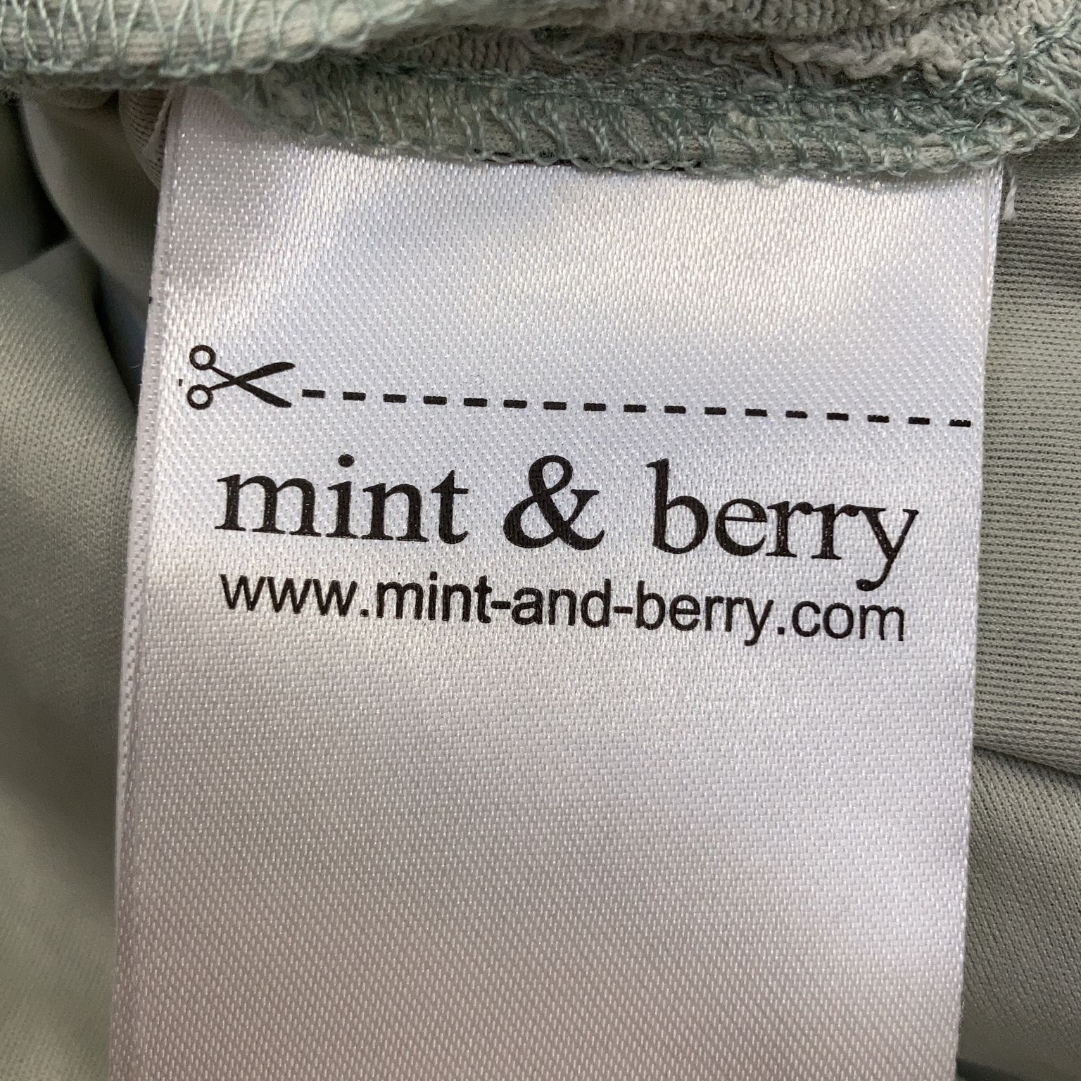 Mint  Berry