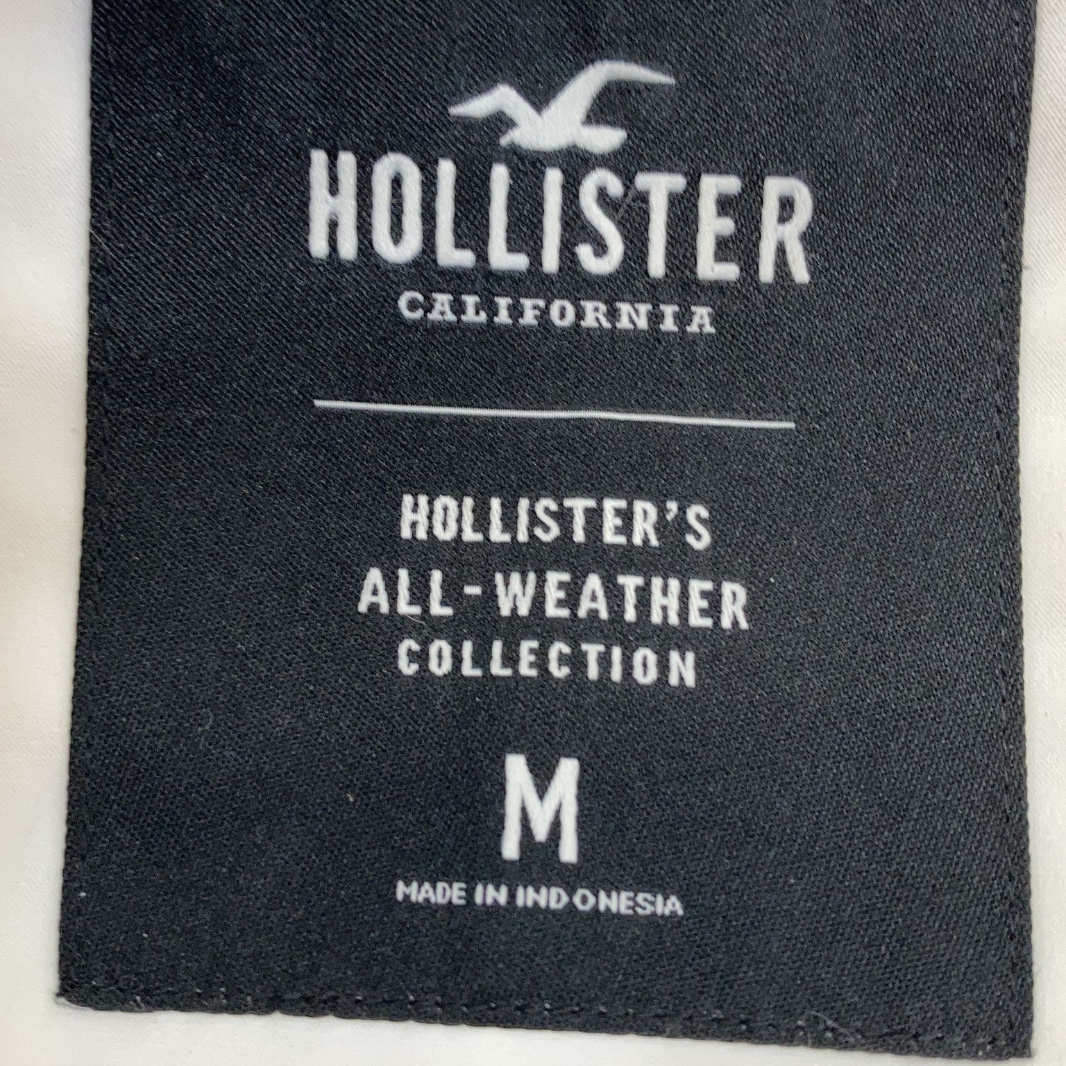 Hollister