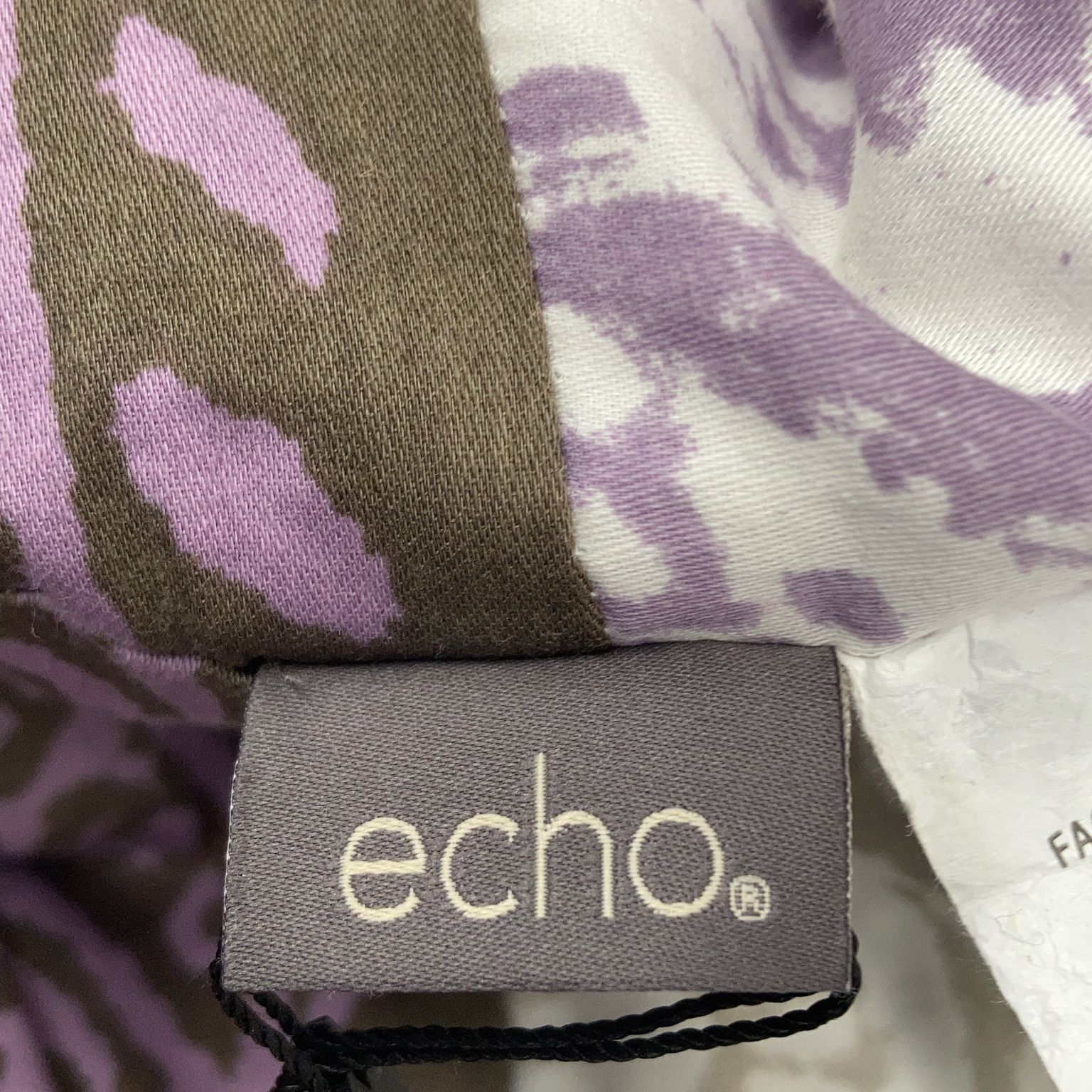 Echo