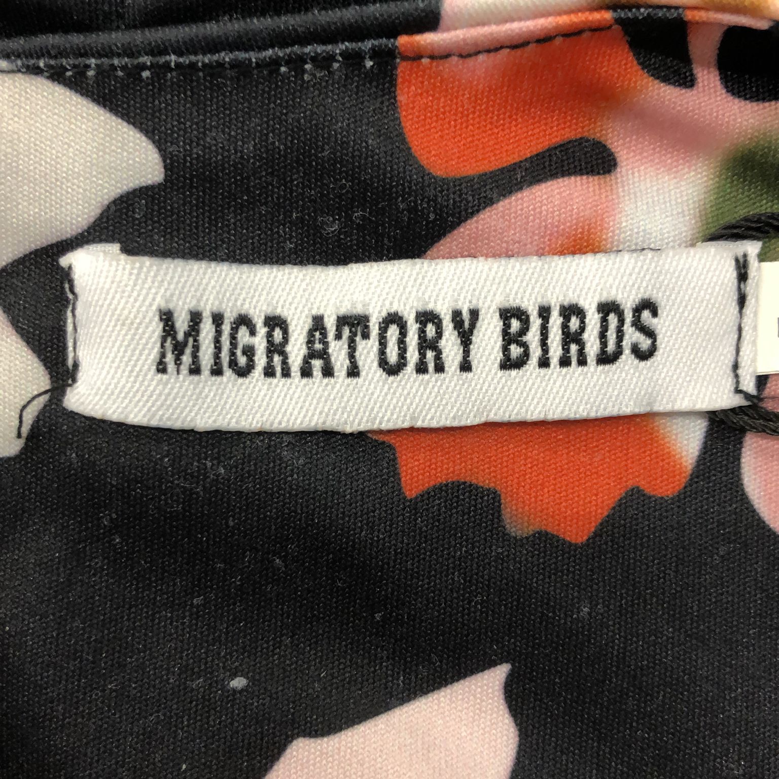 Migratory Birds