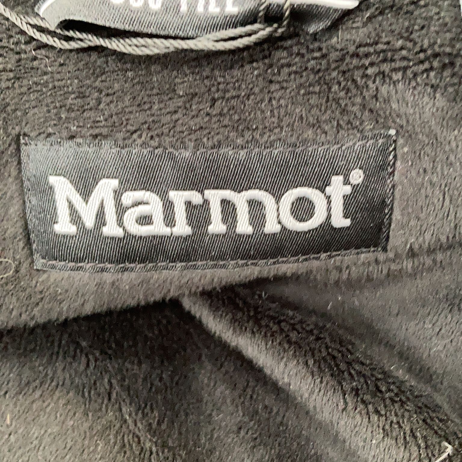 Marmot