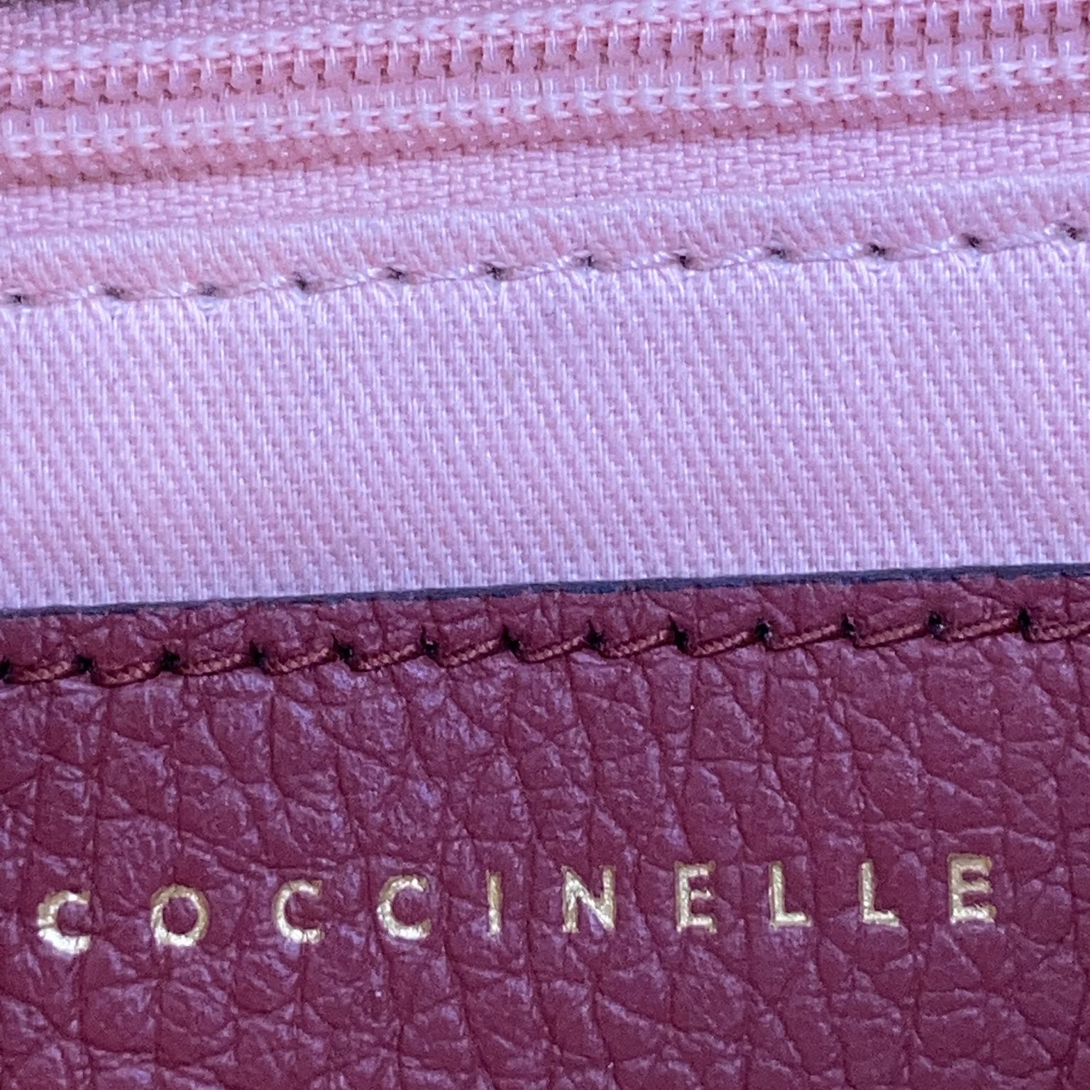 Coccinelle