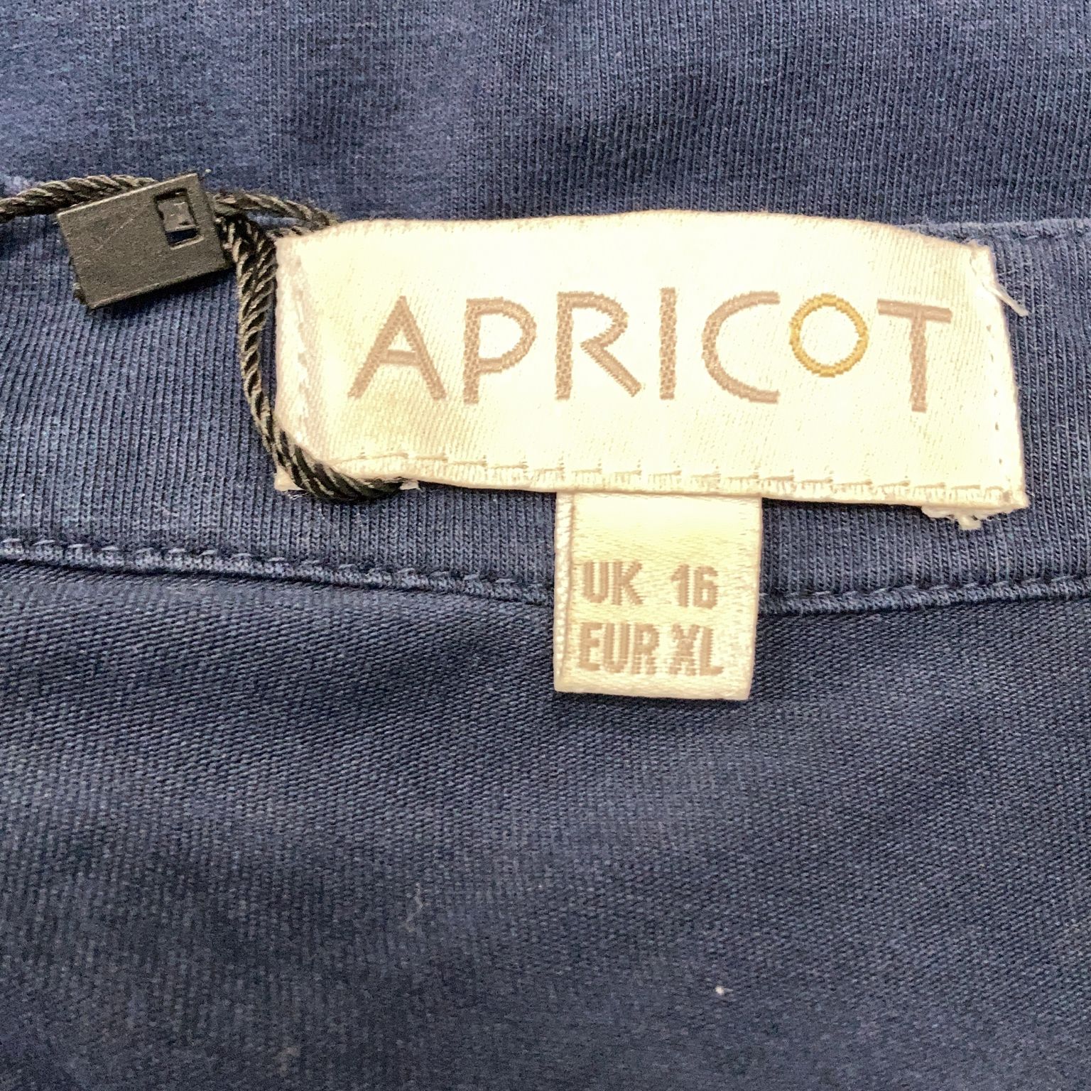 Apricot