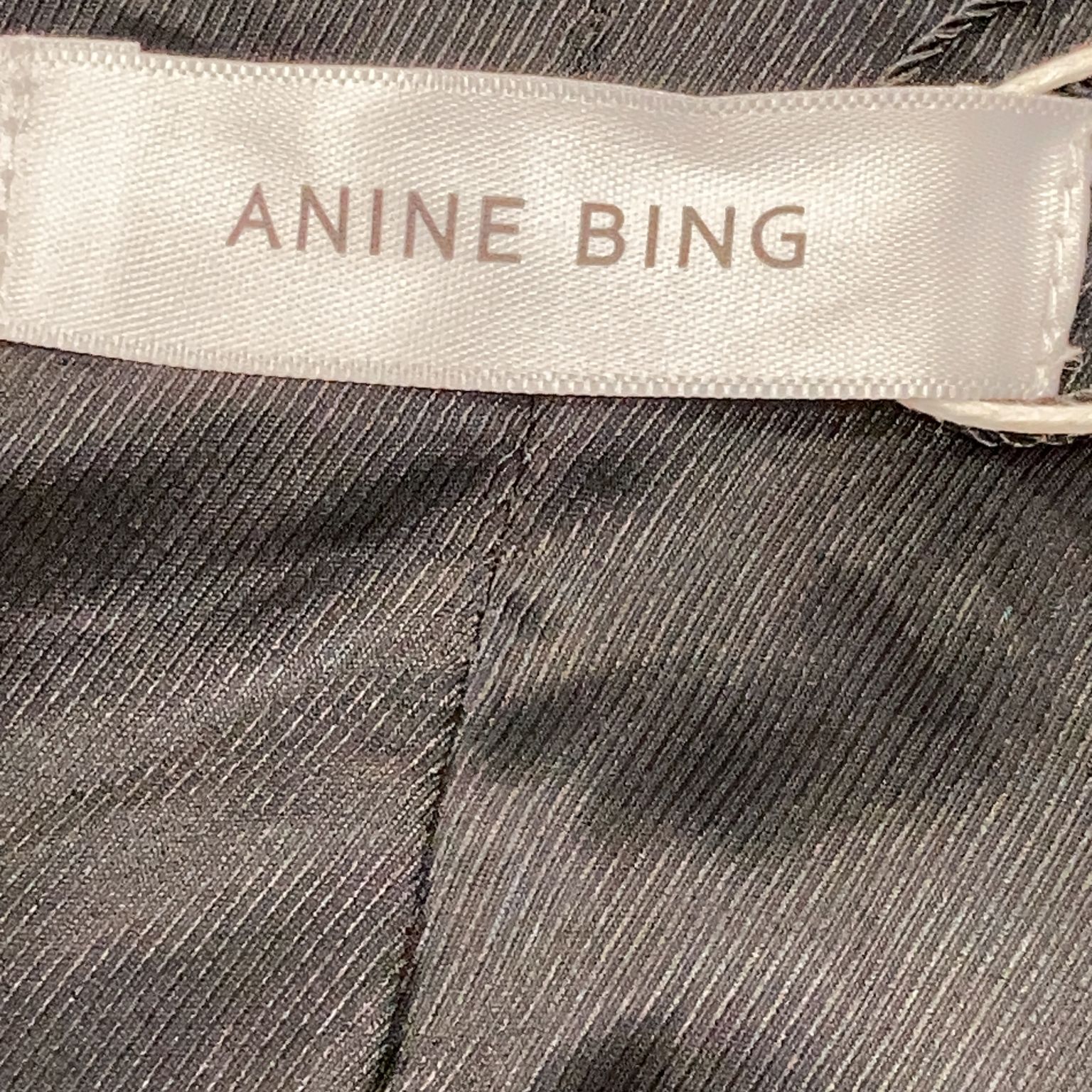 Anine Bing