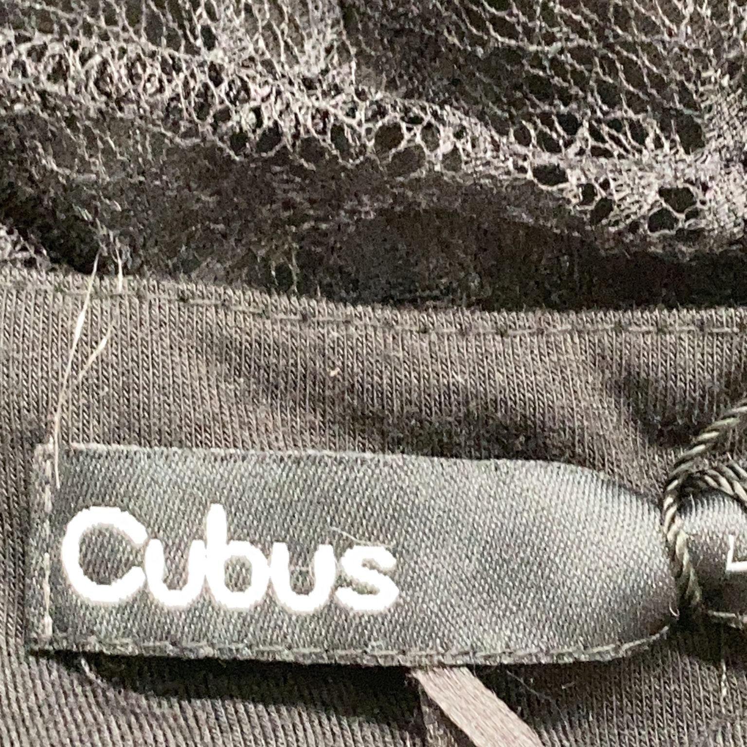 Cubus