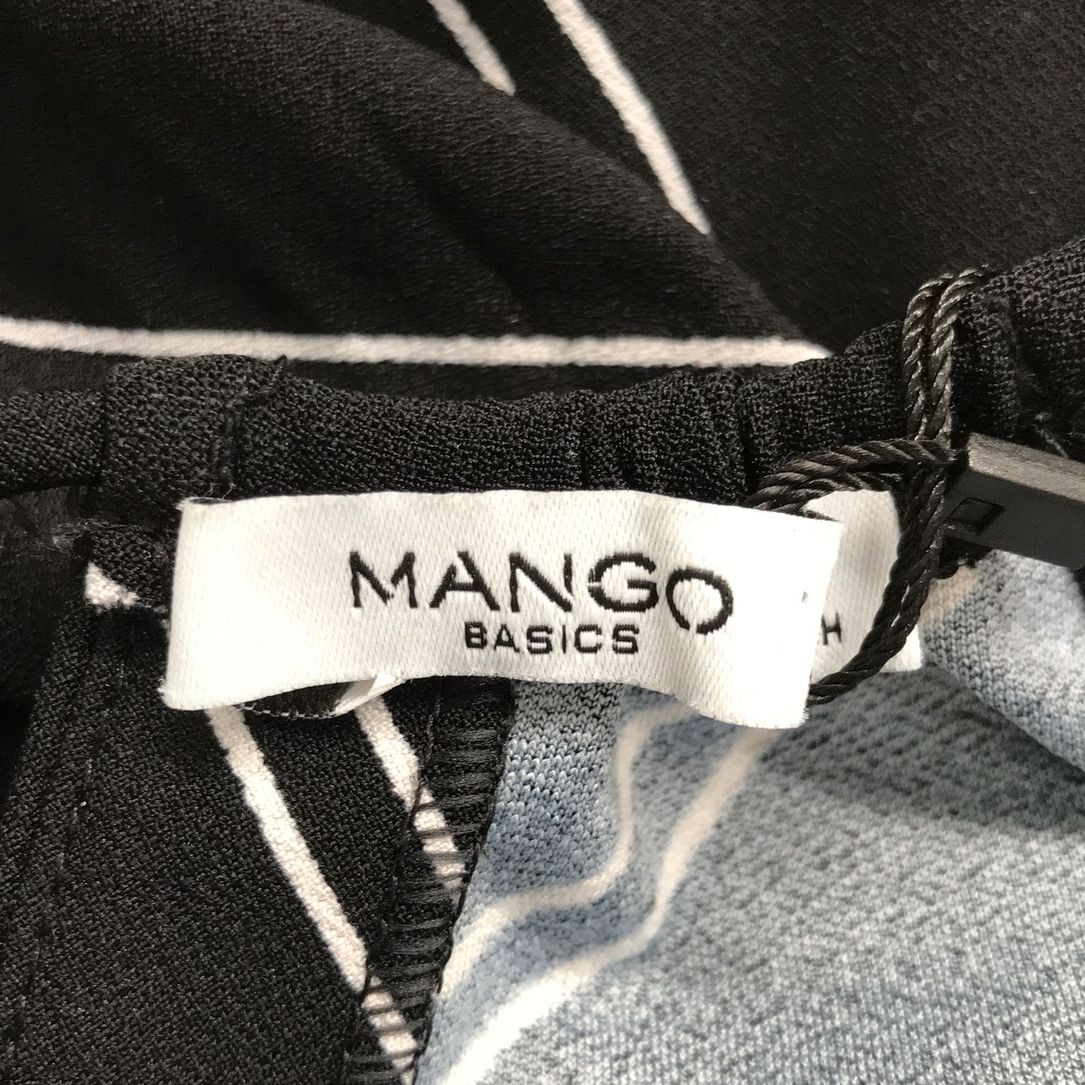 Mango Basics