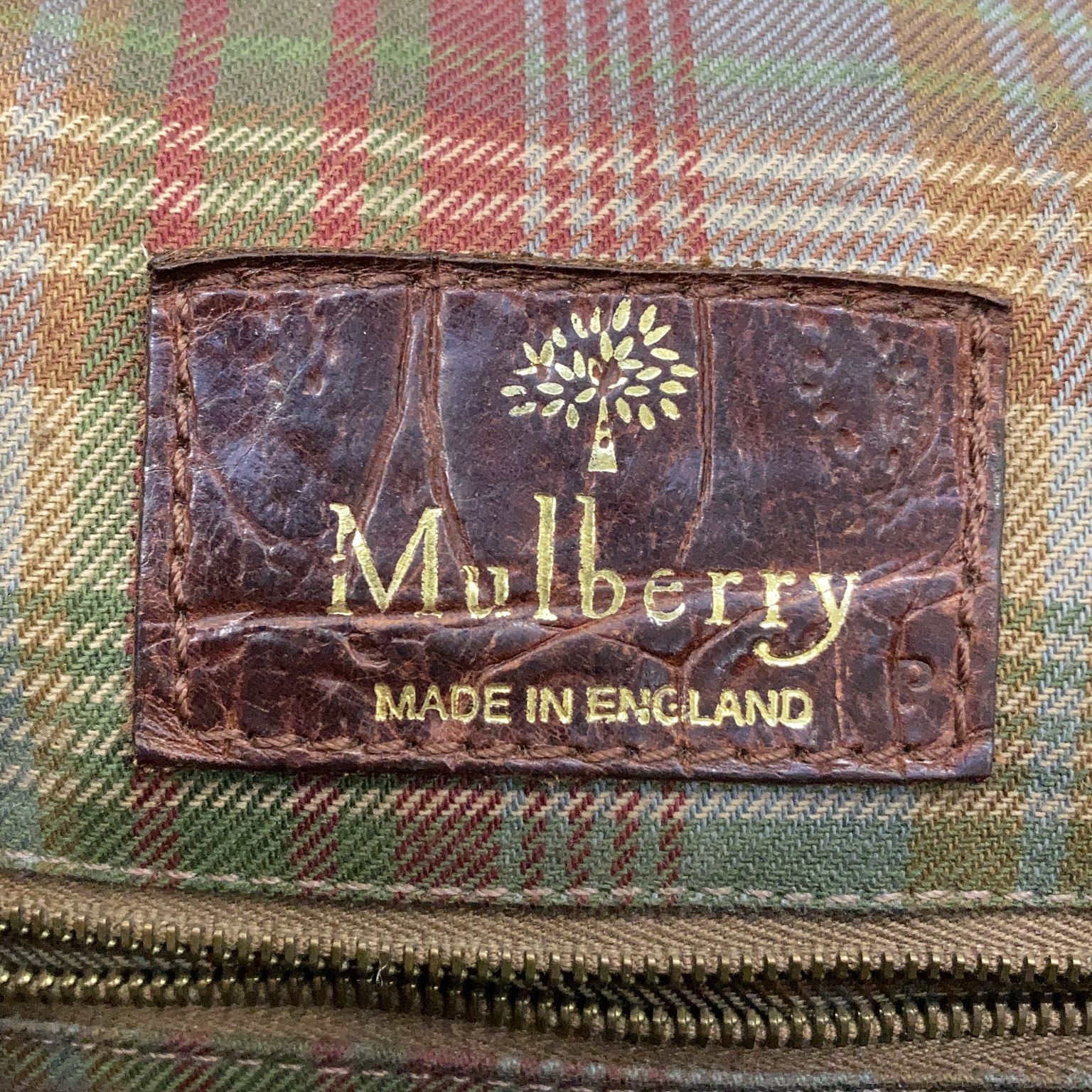 Mulberry