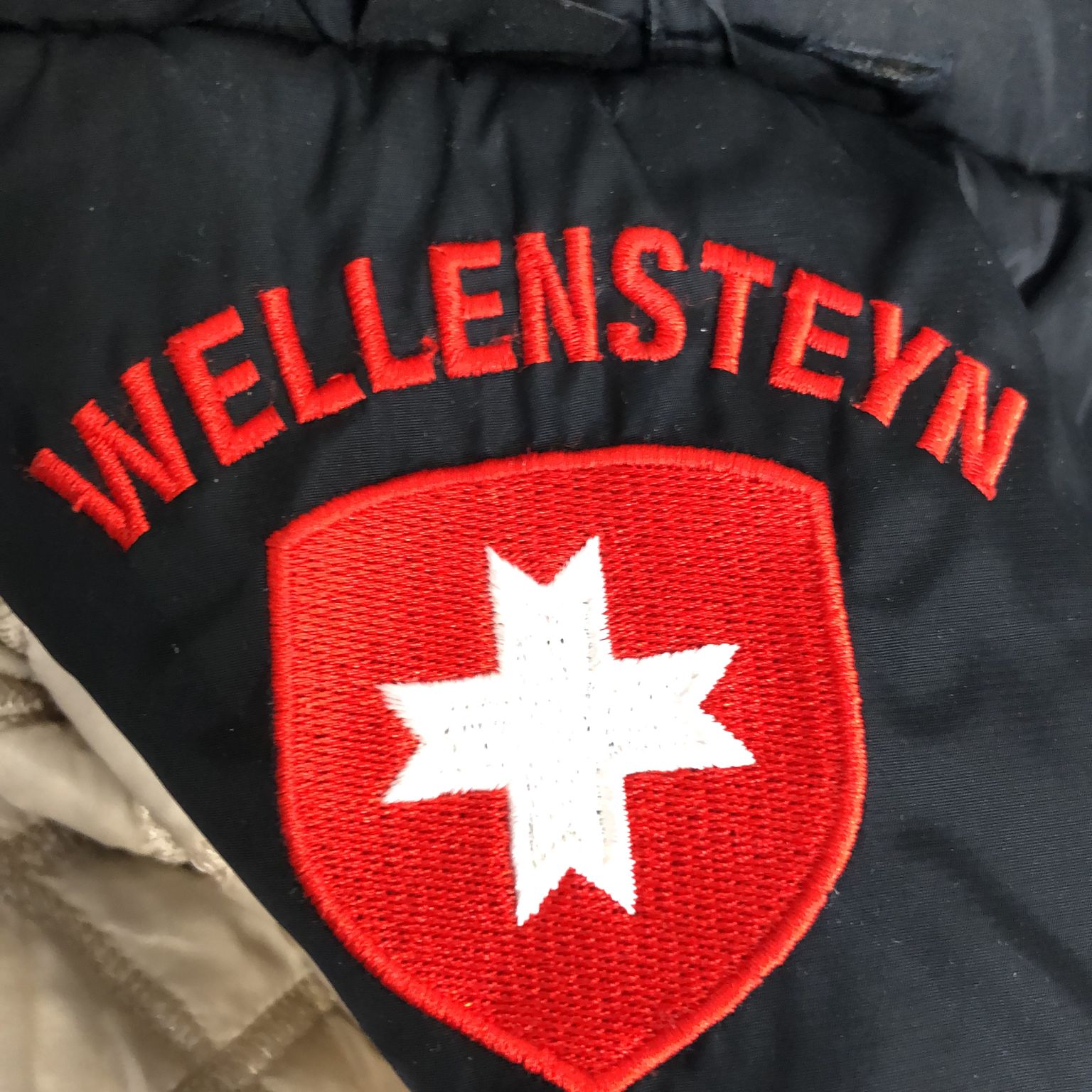 Wellensteyn