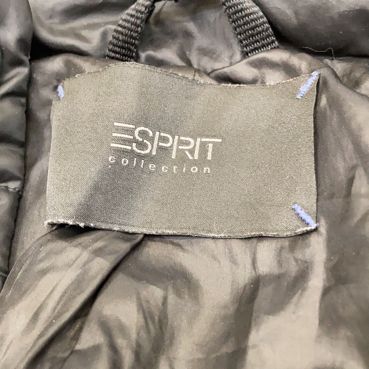 ESPRIT Collection