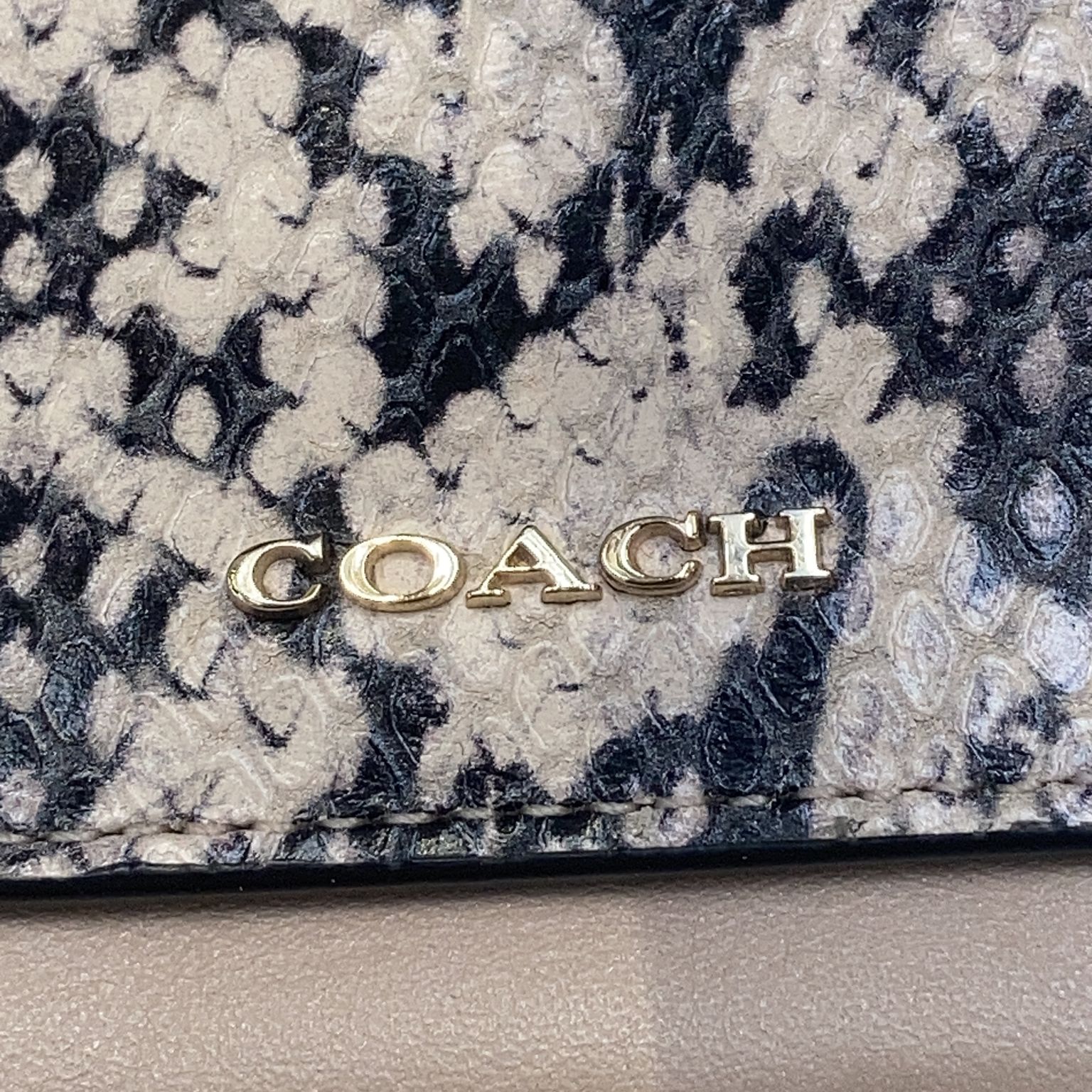 Coach