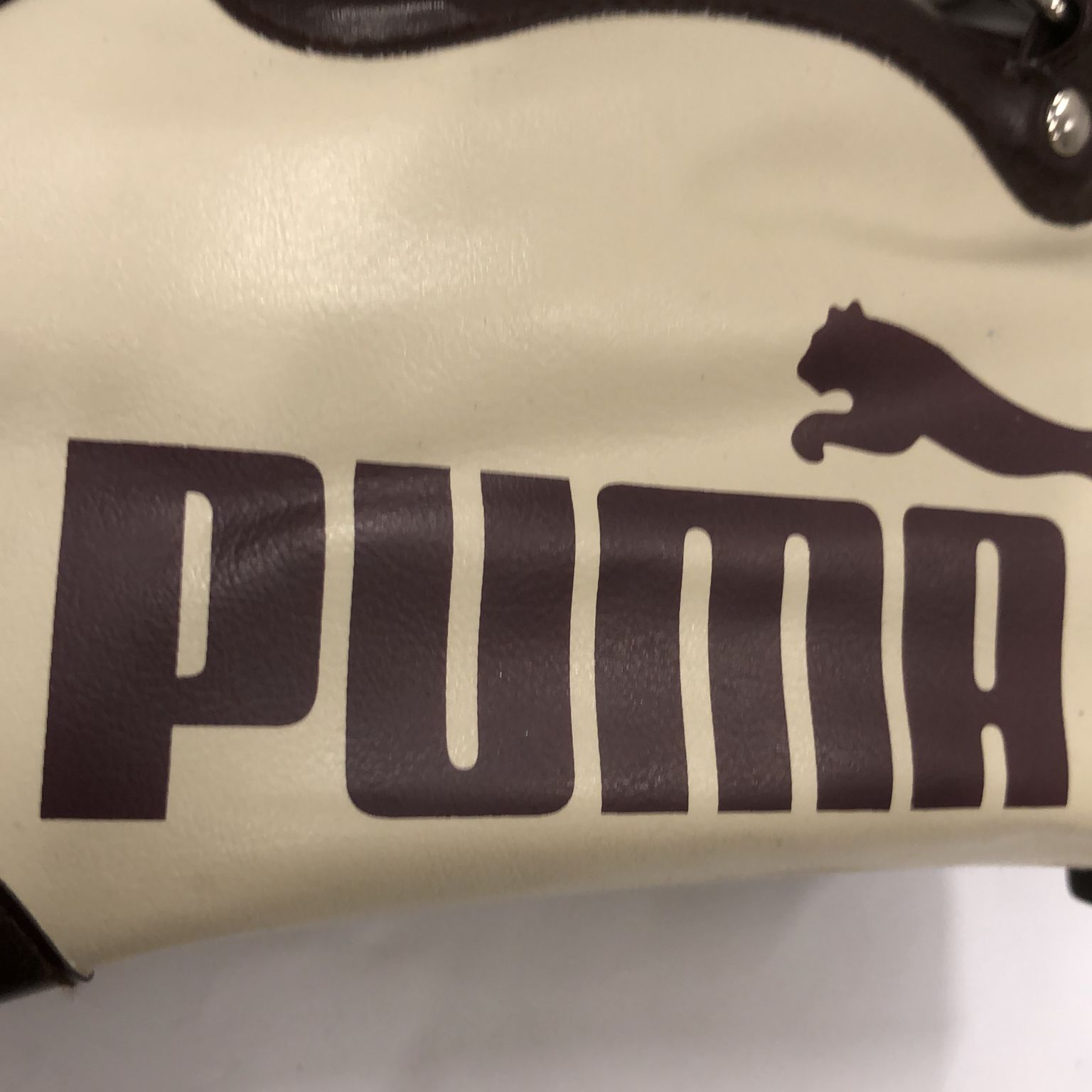 Puma