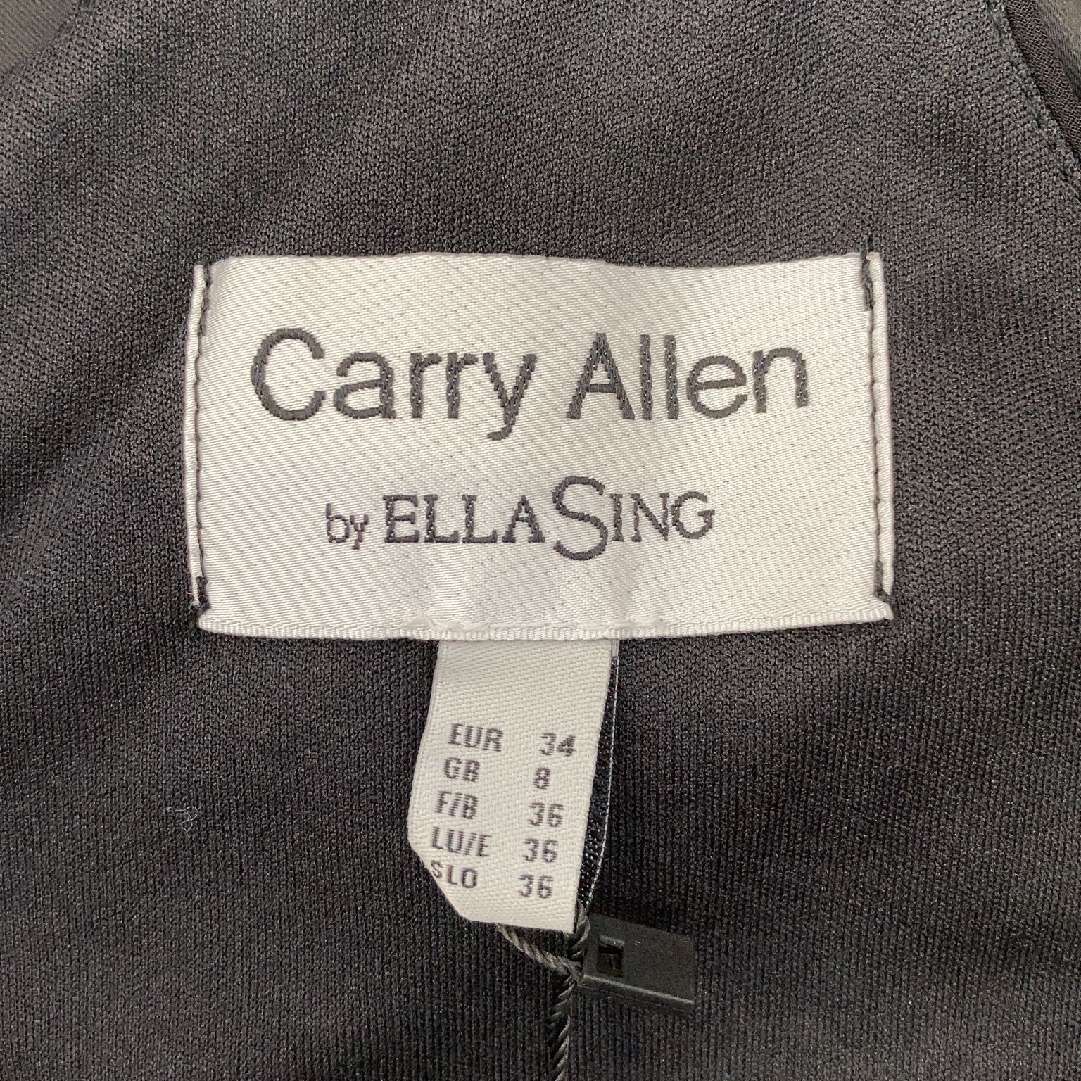 Carry Allen by Ella Singh