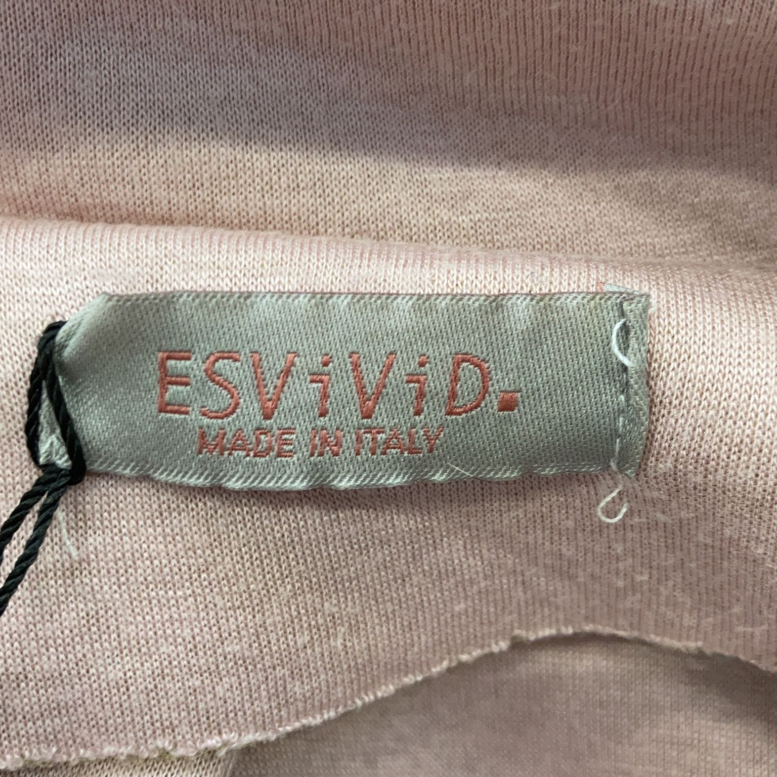 ESViViD