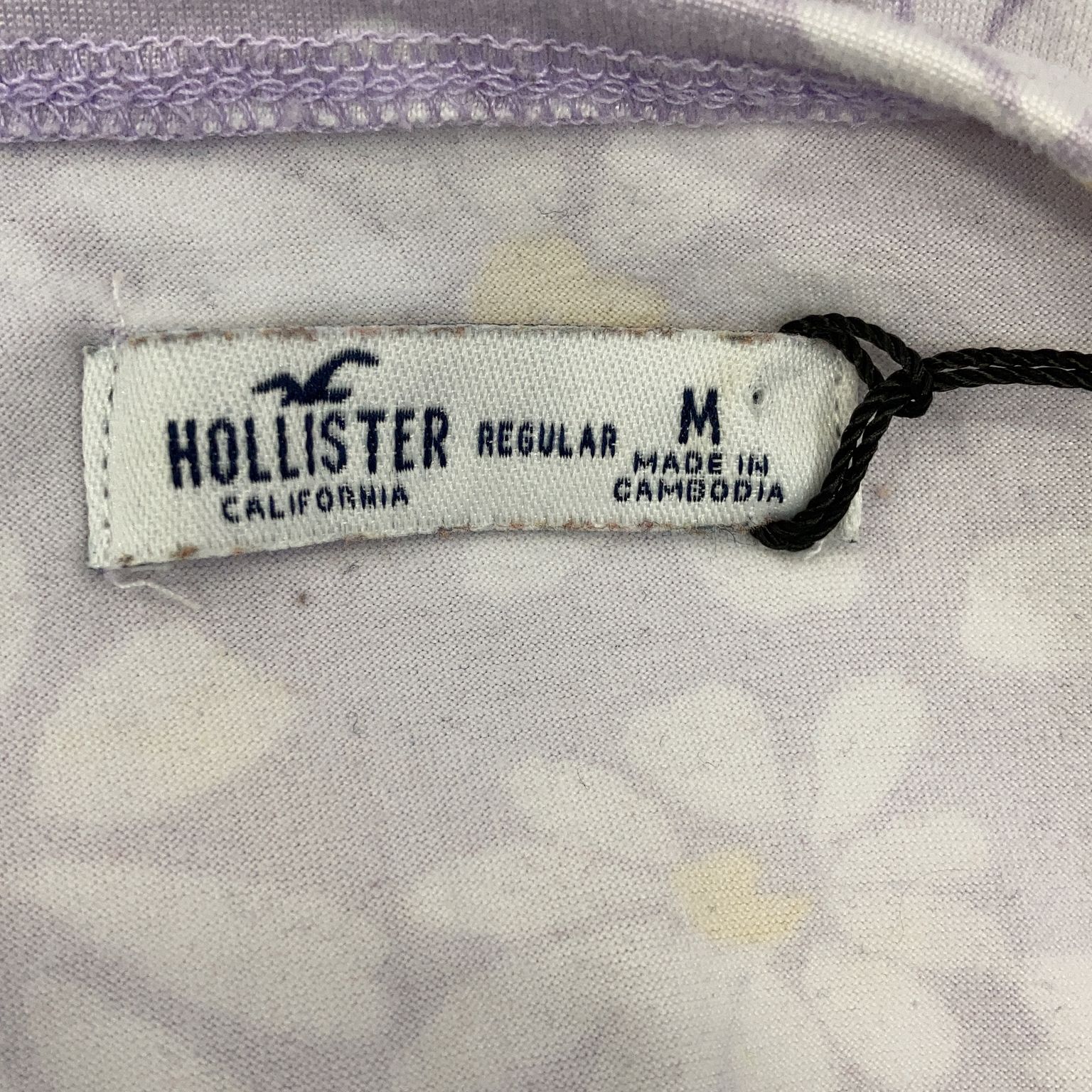 Hollister California