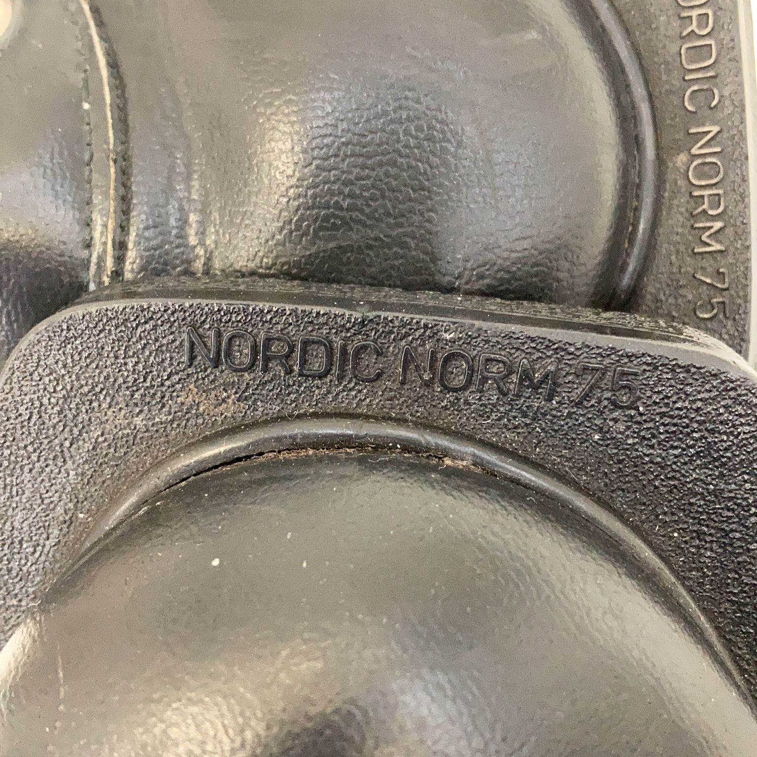 Nordic Norm