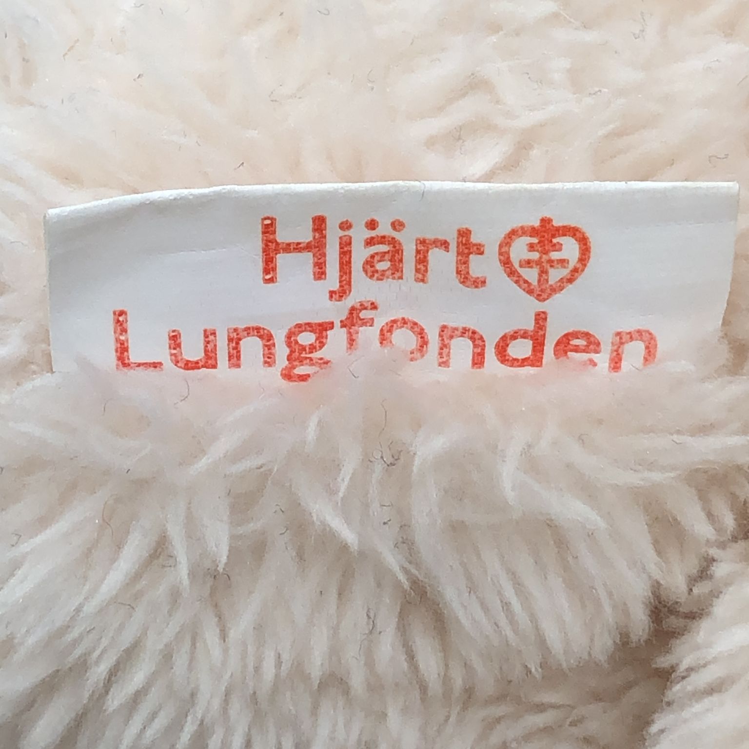 Hjärt Lungfonden