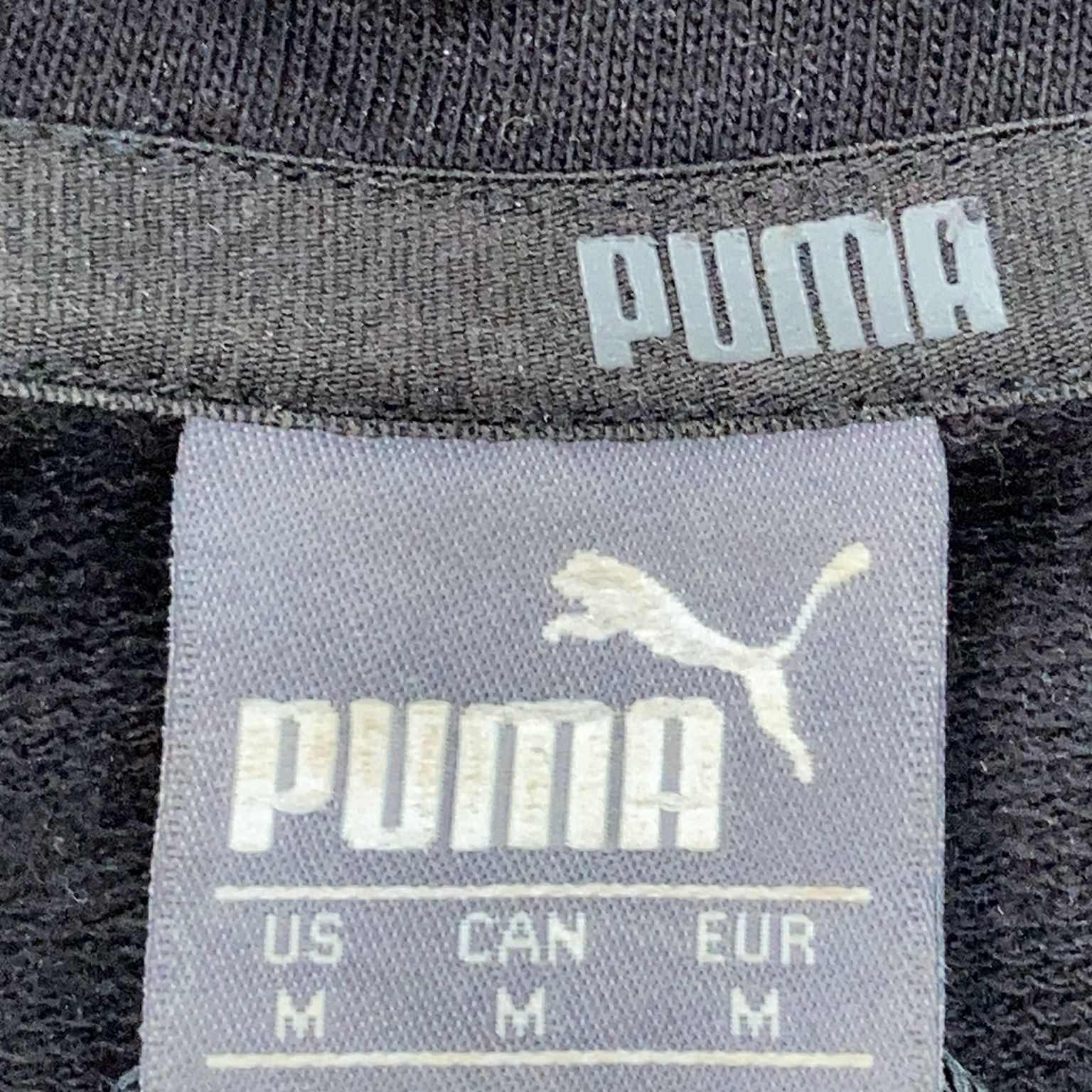 Puma