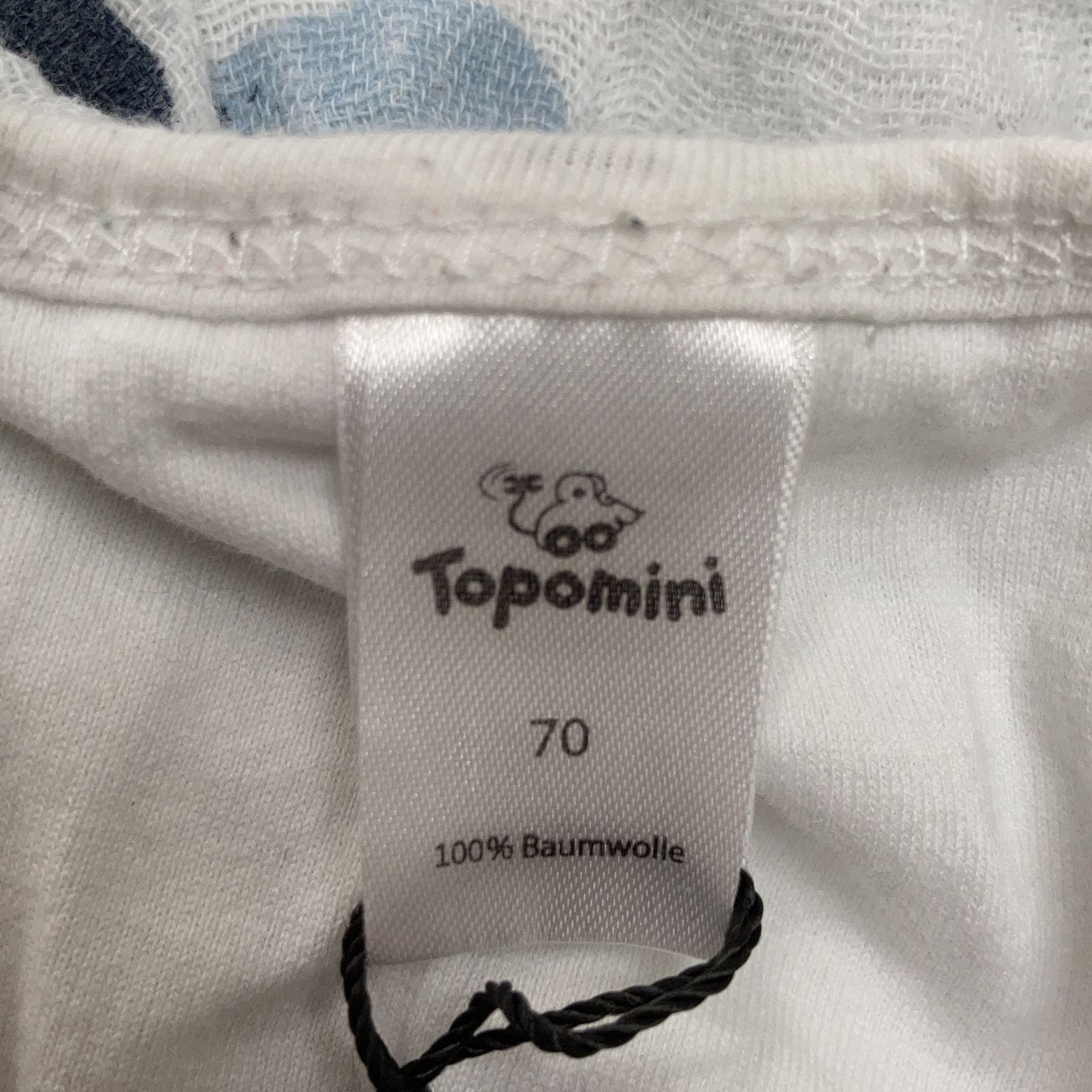 Topomini