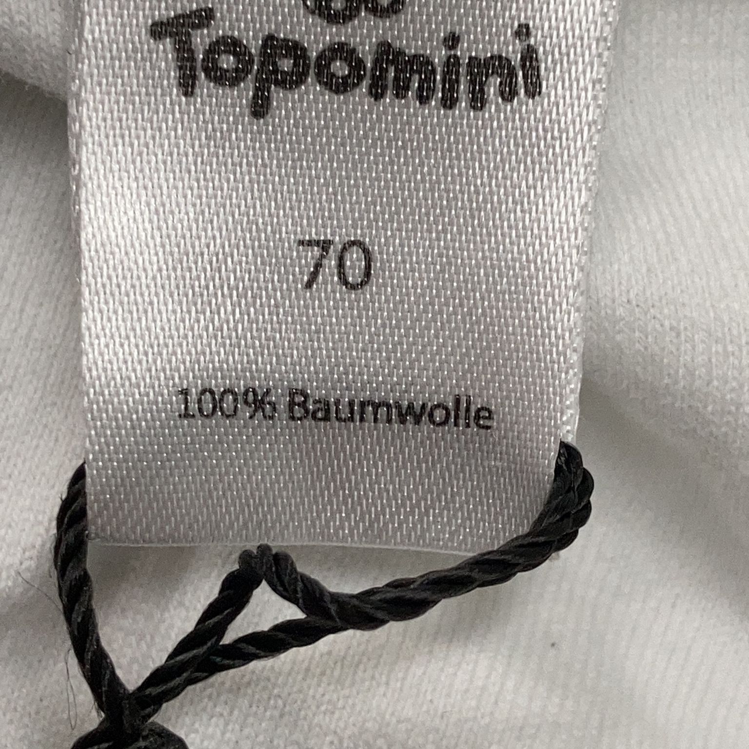 Topomini