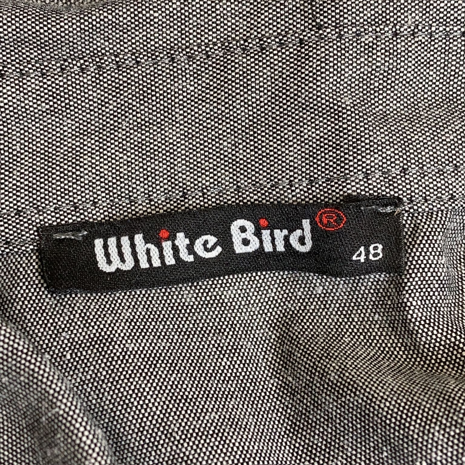 White Bird