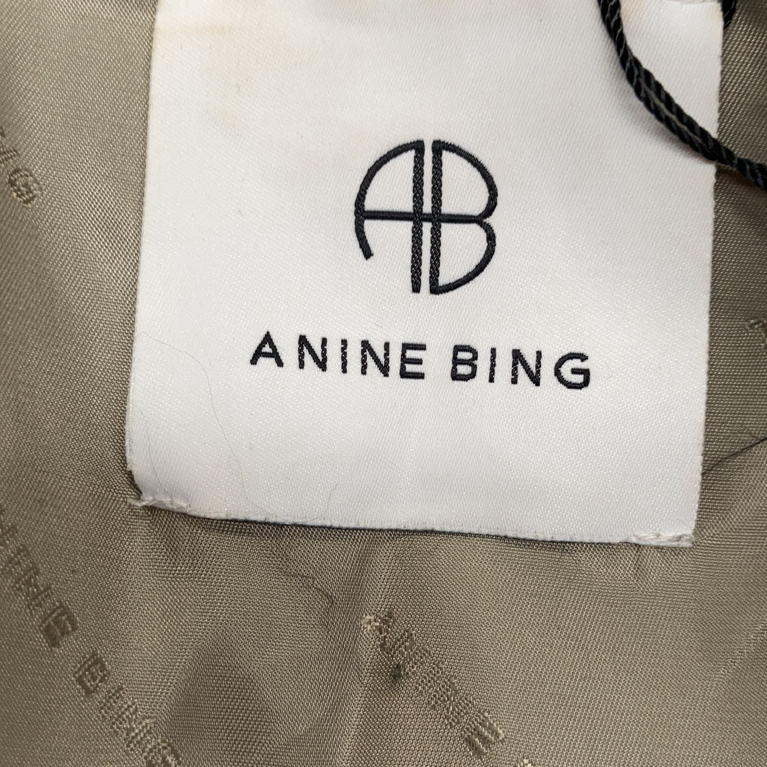 Anine Bing