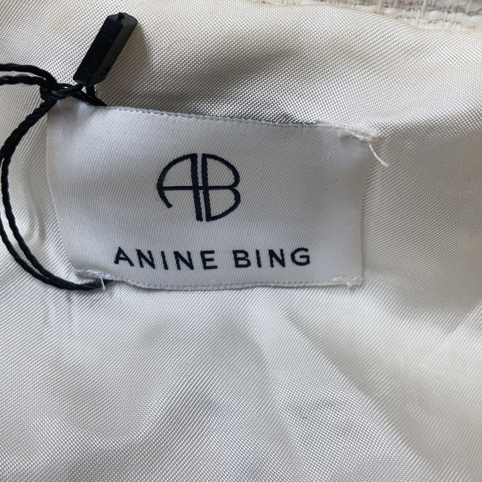 Anine Bing