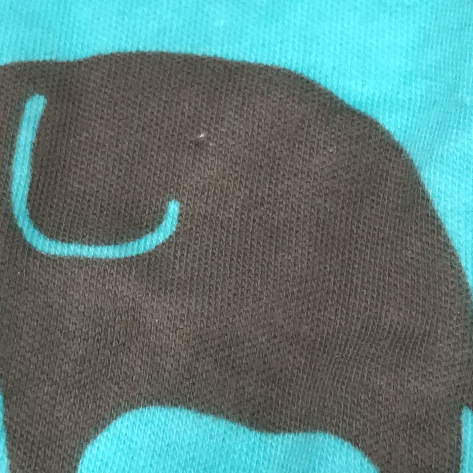 Little Elephant