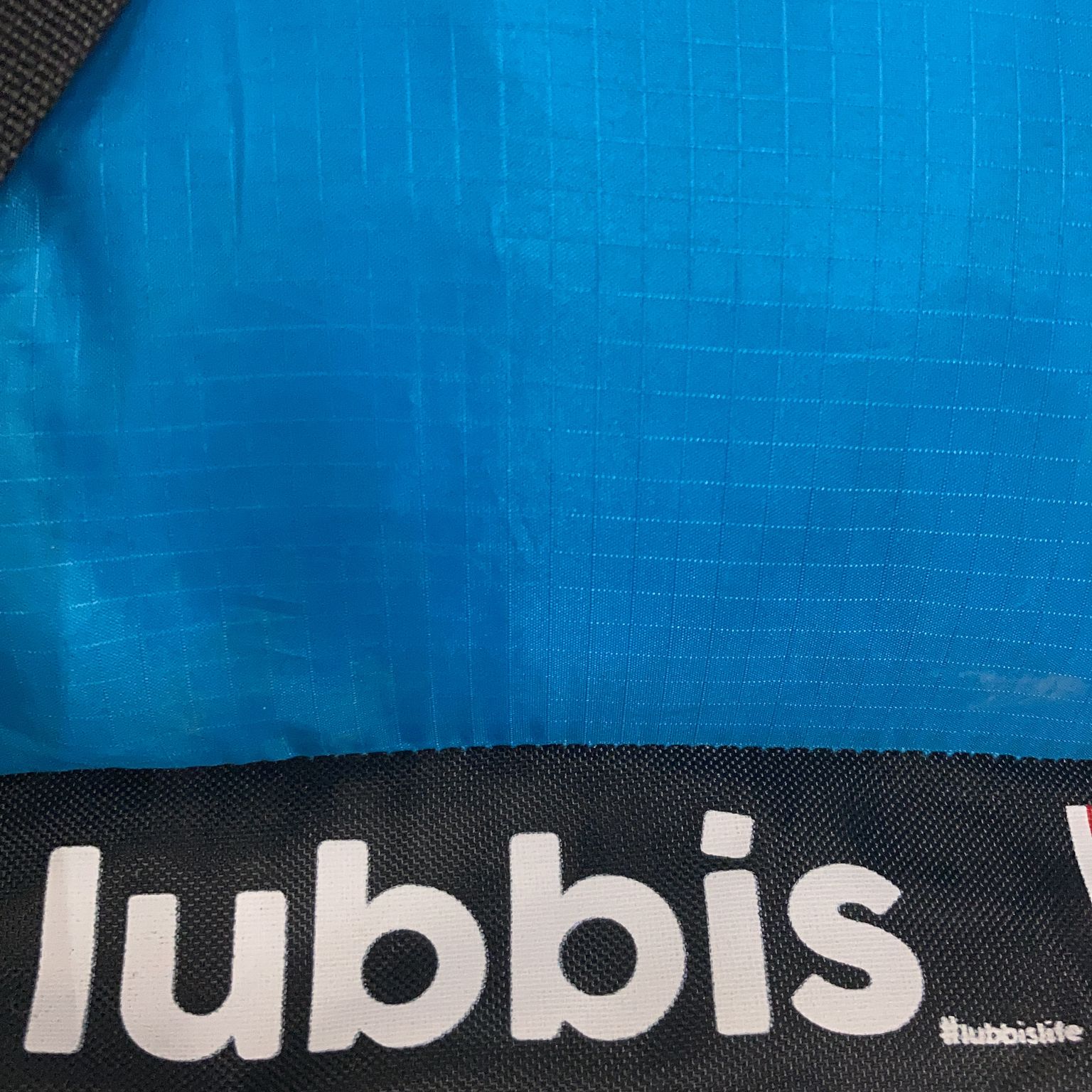 Lubbis