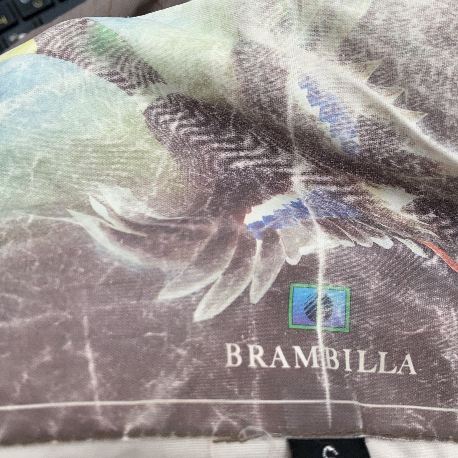 Brambilla