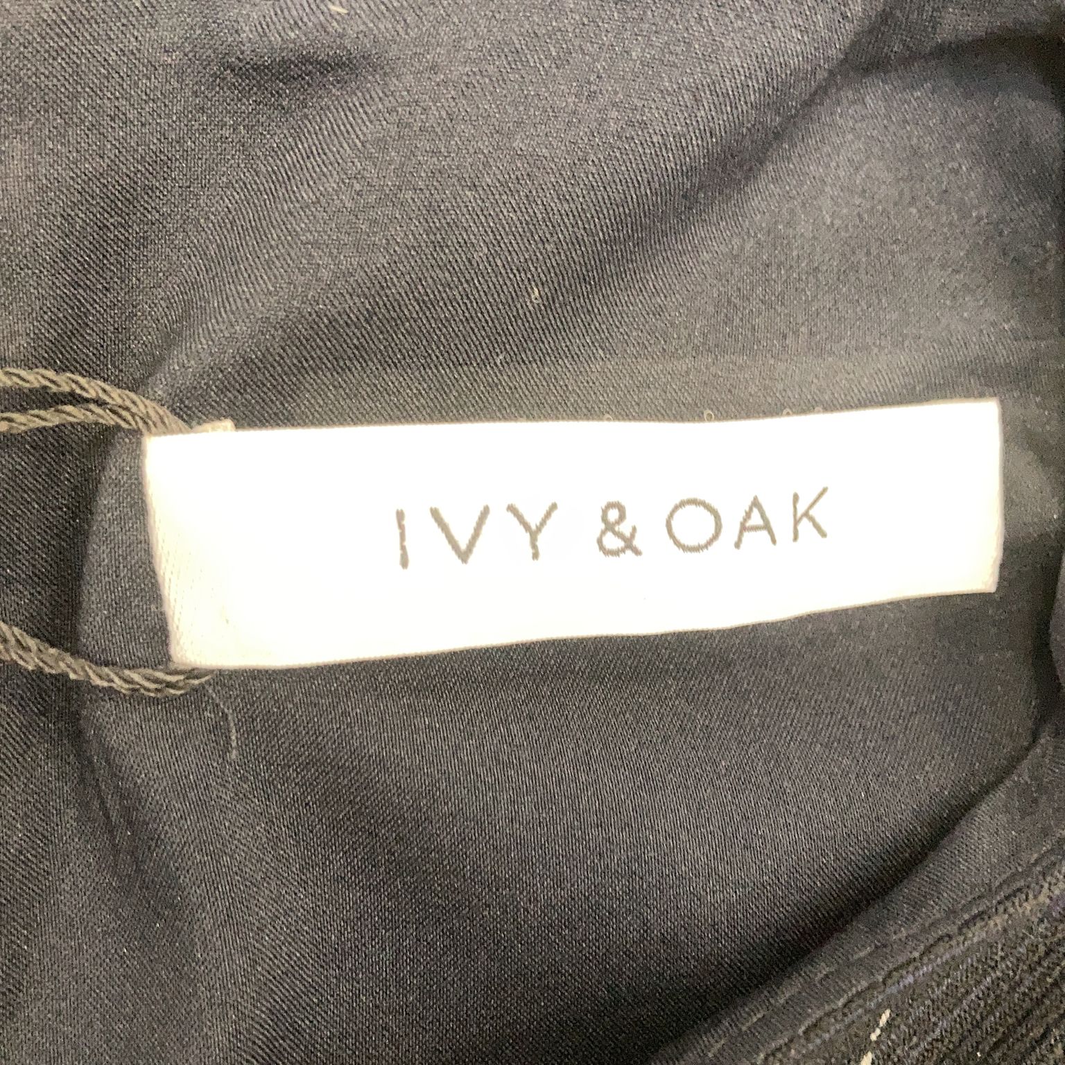 Ivy  Oak