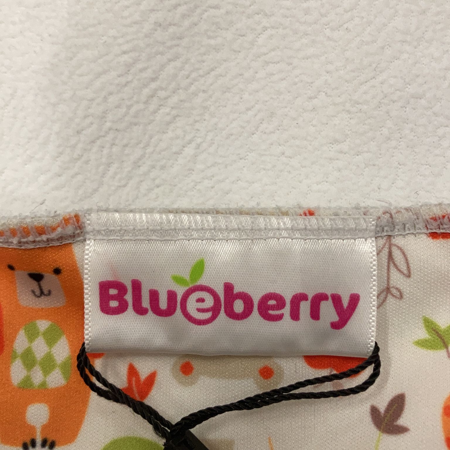 Blueberry