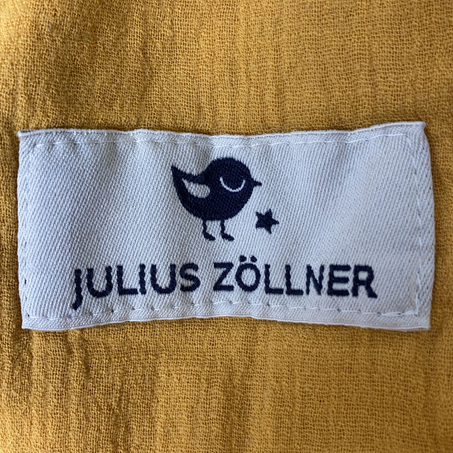 Julius Zöllner