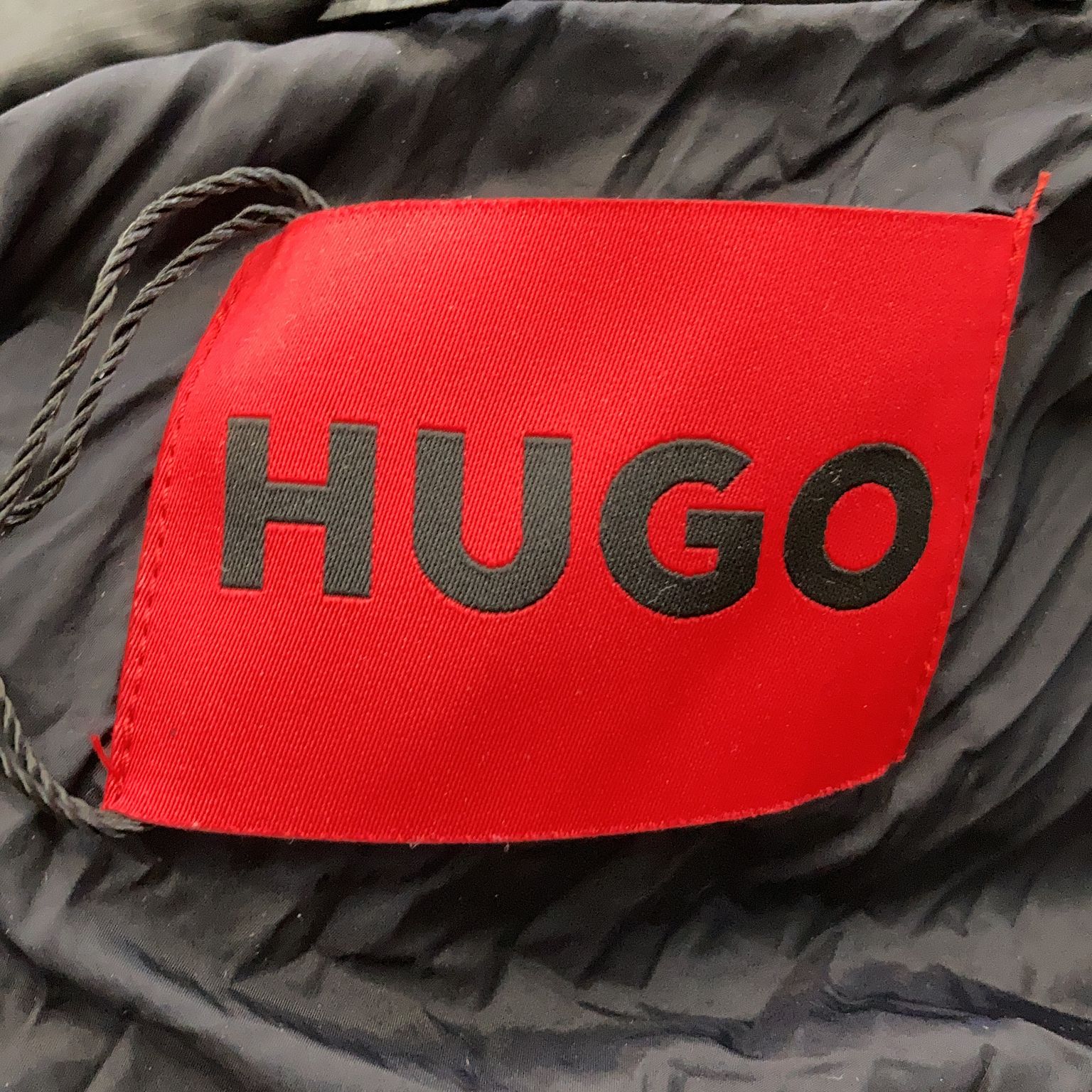 Hugo