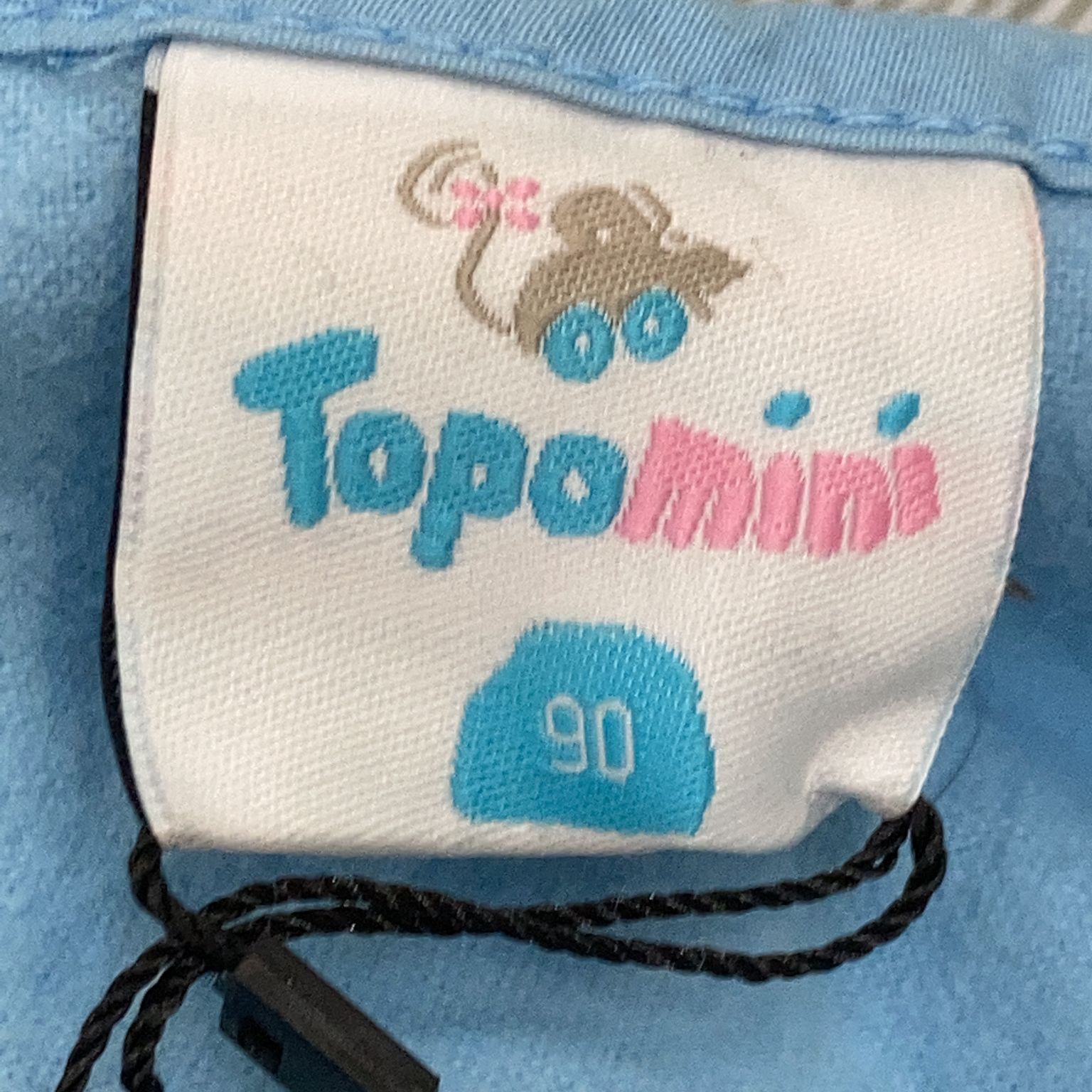 Topomini